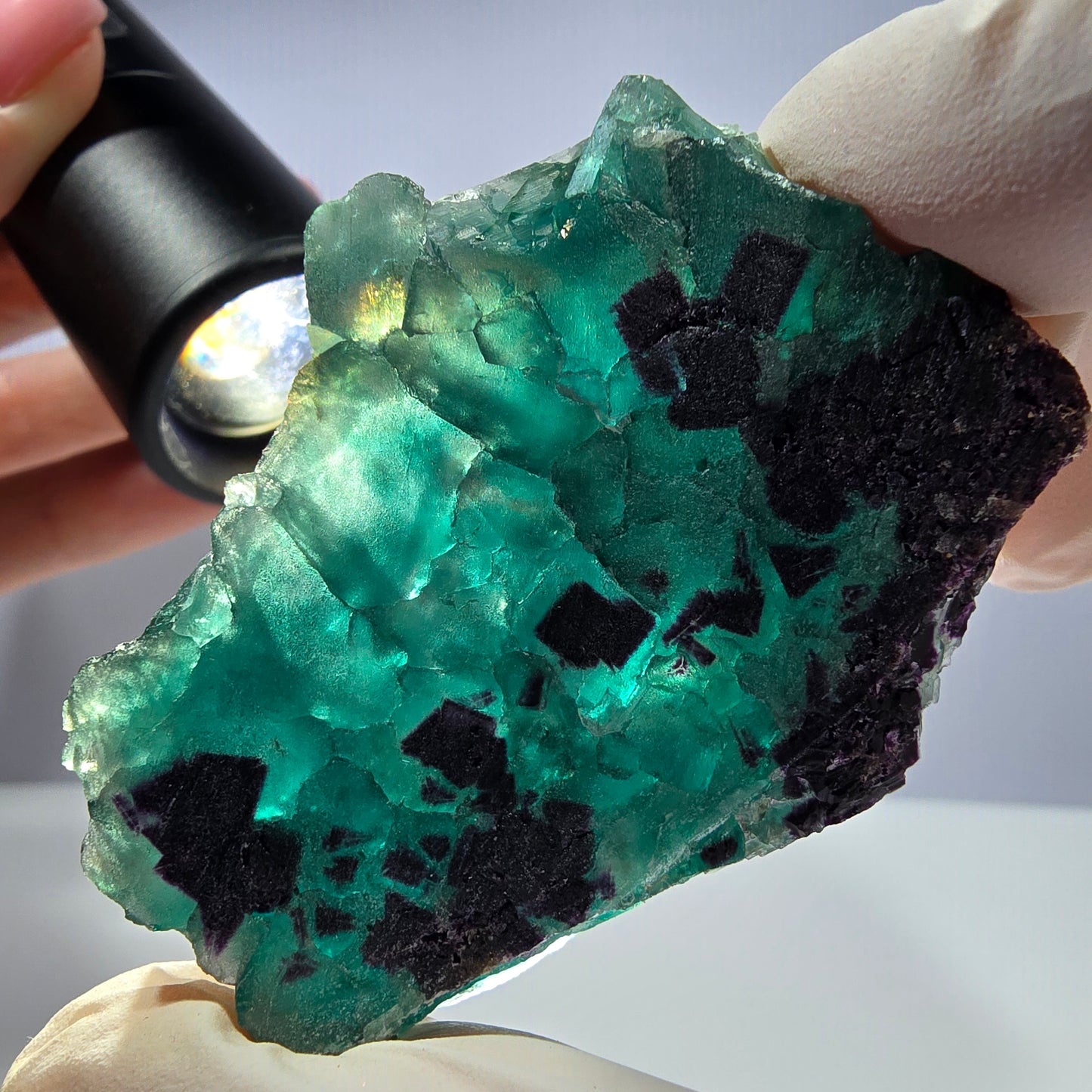 Spécimen de cube de fluorite fantôme transparente, vert parqueté, Okorusu, Namibie, 58 x 45 x 16 mm