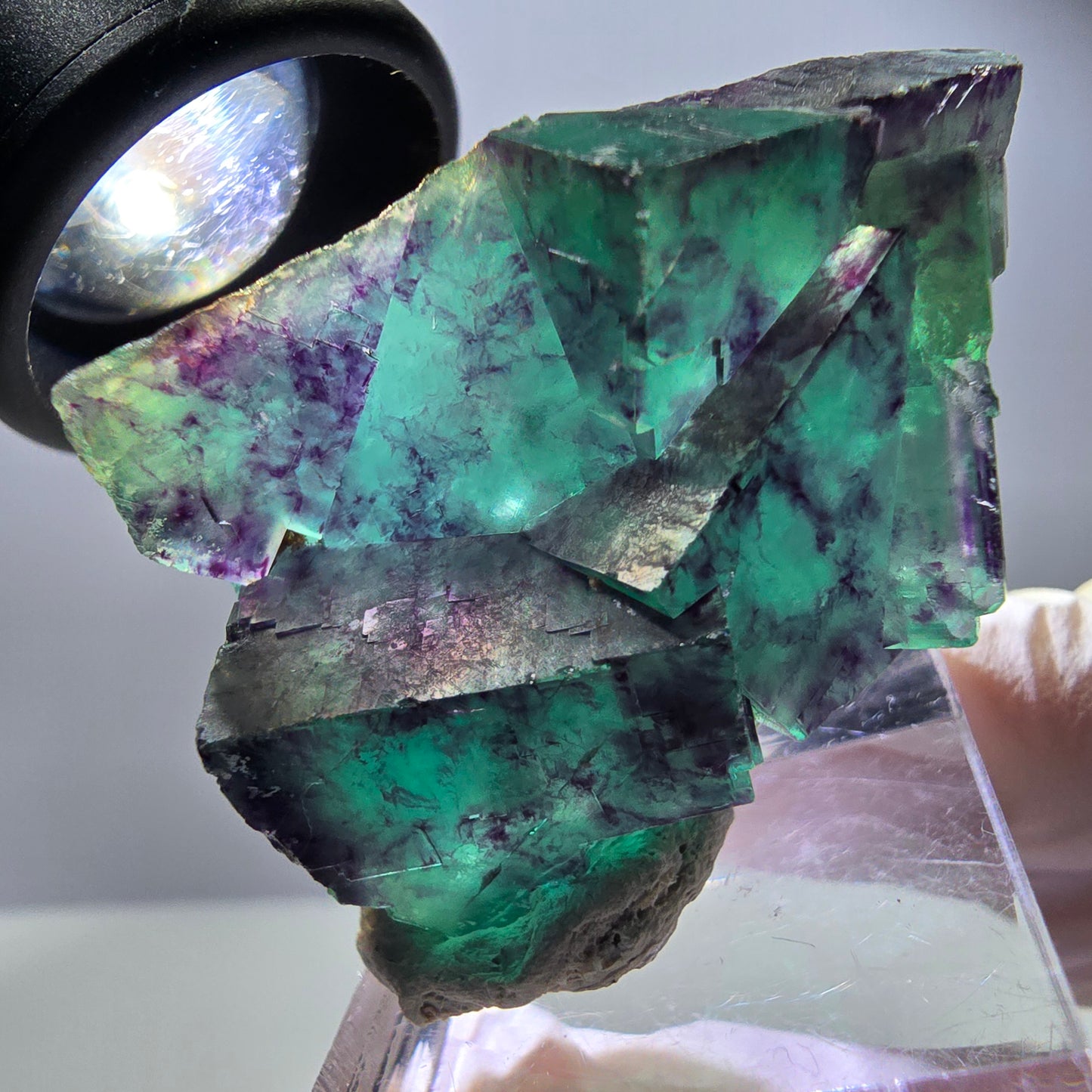 Spécimen rare de cube de fluorite, vert violet, Okorusu, Namibie, 40 x 31 x 17 mm