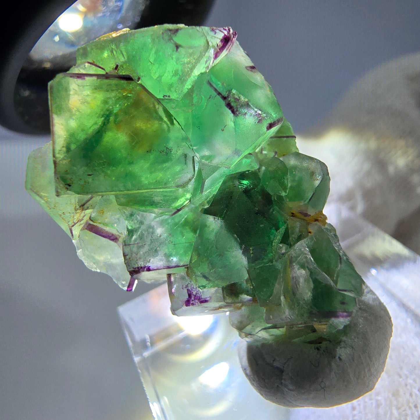 Cube de fluorite fantôme zonal, spécimen de muscovite, Erongo, Namibie, 30 x 19 x 10 mm