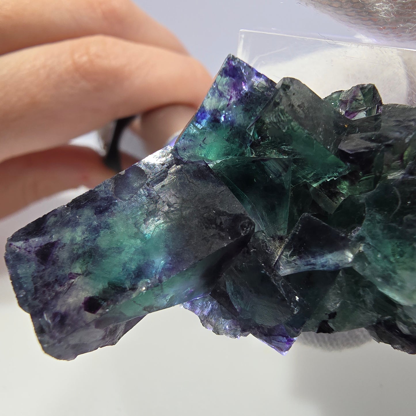 Spécimen de cube de fluorite fantôme transparente, vert-violet zonal, Okorusu, Namibie, 57 x 32 x 18 mm