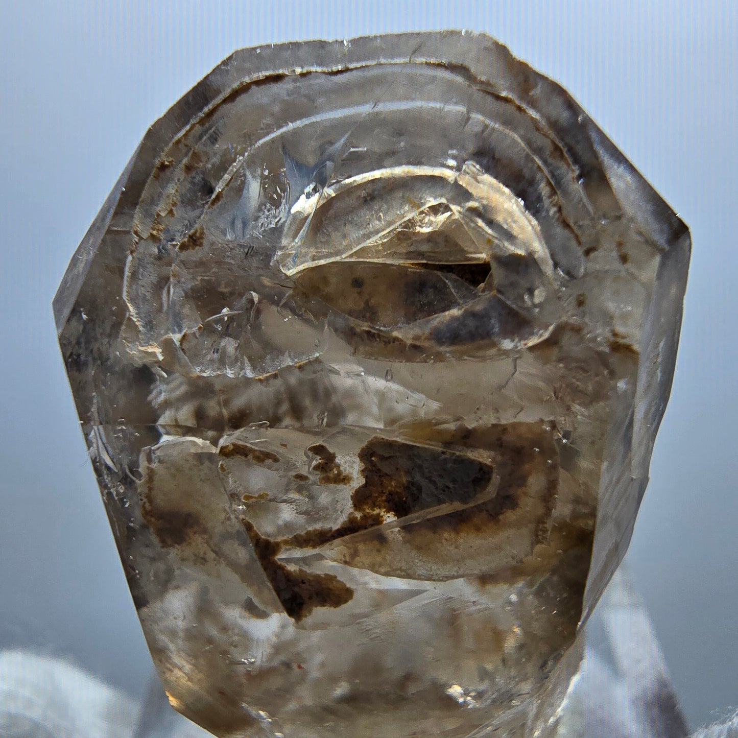 Enhydro Phantom Smoky Quartz Scepter, 1x Bubble Goboboseb, Namibia 31*23*16mm