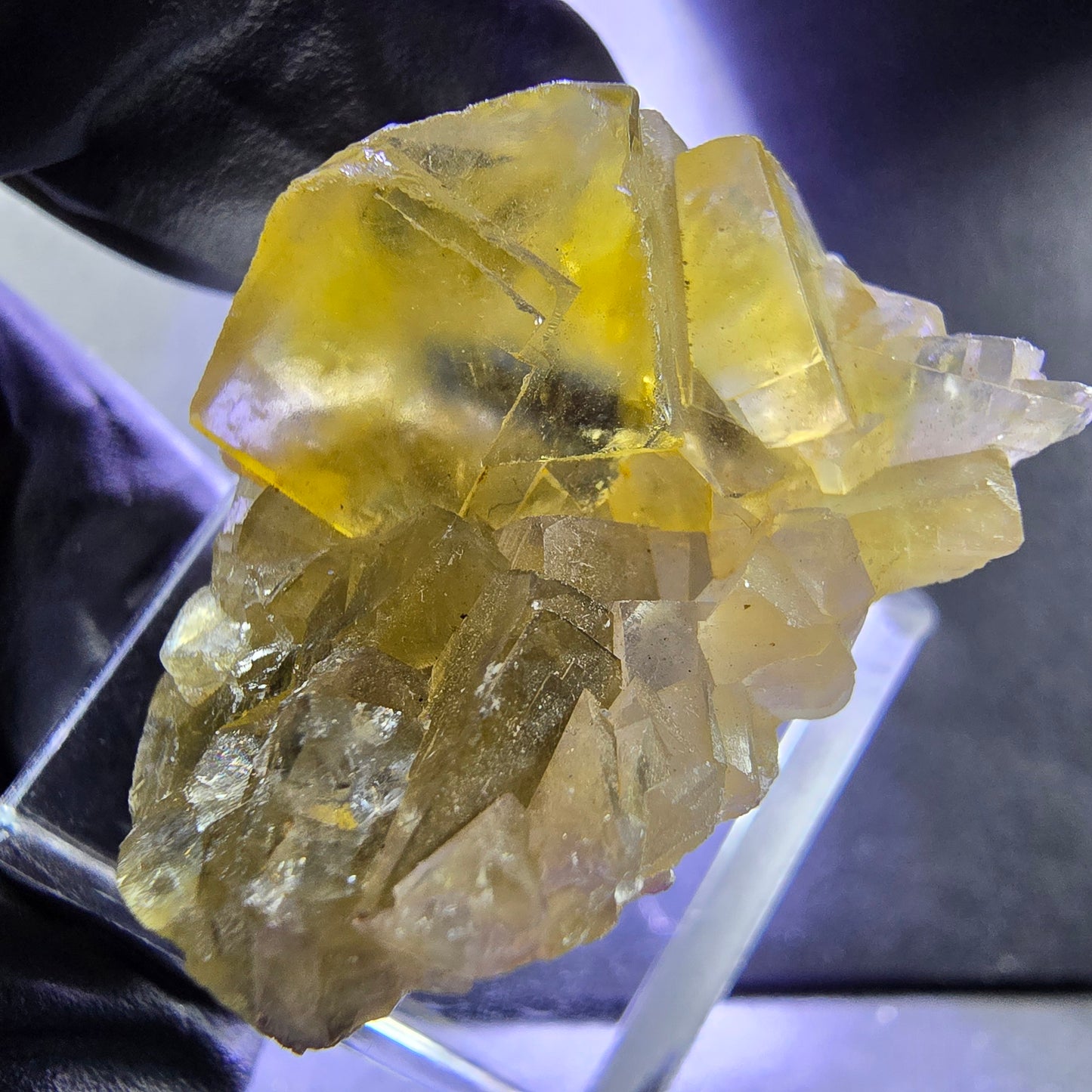Seltene Honey Pocket Phantom Fluorit XX Würfel Stufe 31*20*19mm Okorusu, Namibia
