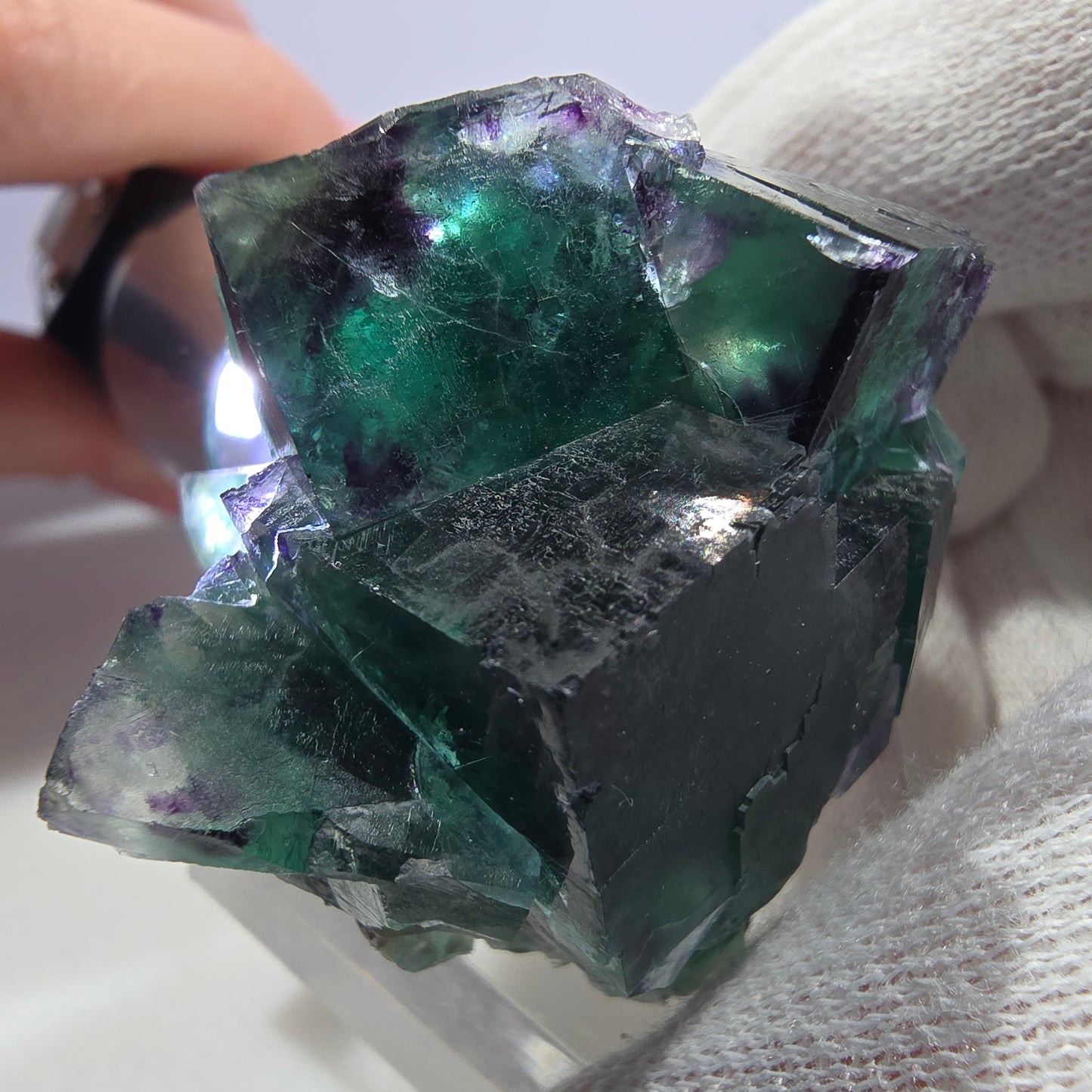 Spécimen de cube de fluorite fantôme transparente, vert-violet zonal, Okorusu, Namibie, 47 x 43 x 31 mm