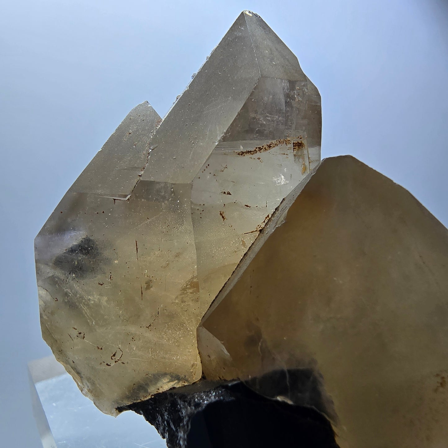 Spécimen rare de quartz fumé et de tourmaline Schorl à Erongo, Namibie, 53 x 48 x 39 mm