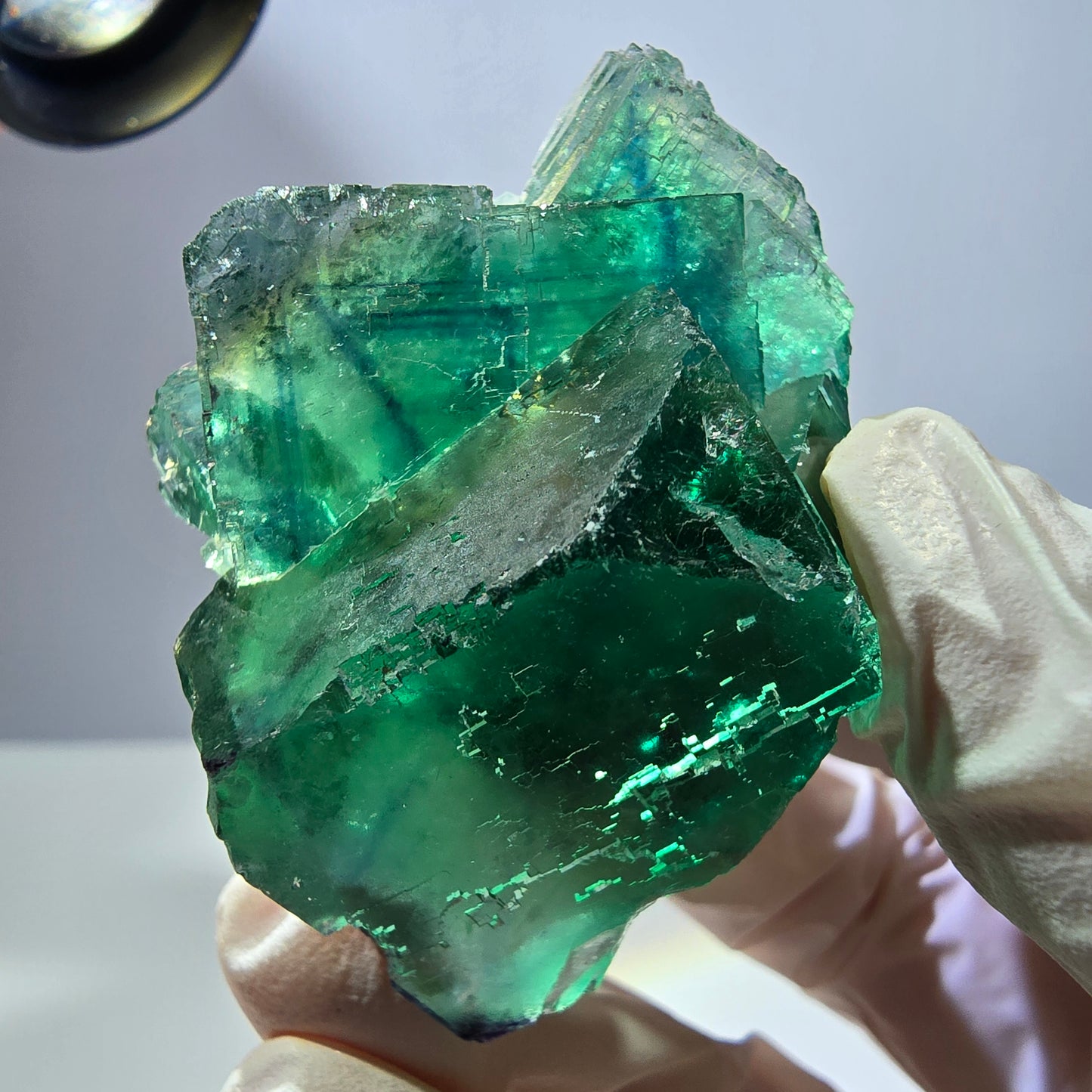 Spécimen de cube de fluorite fantôme transparente, vert parqueté, Okorusu, Namibie, 55 x 41 x 26 mm