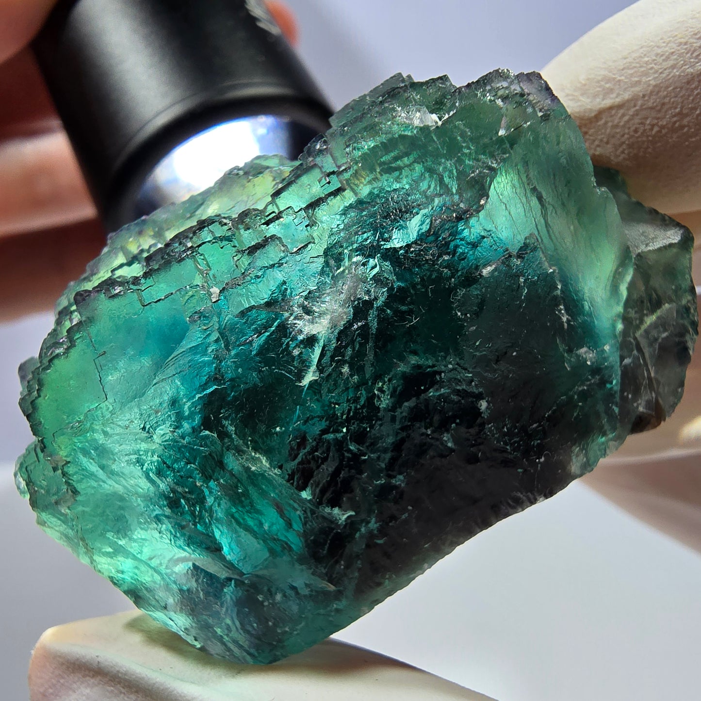 Spécimen de cube de fluorite fantôme, parqueté vert violet Okorusu, Namibie 45*43*31 mm