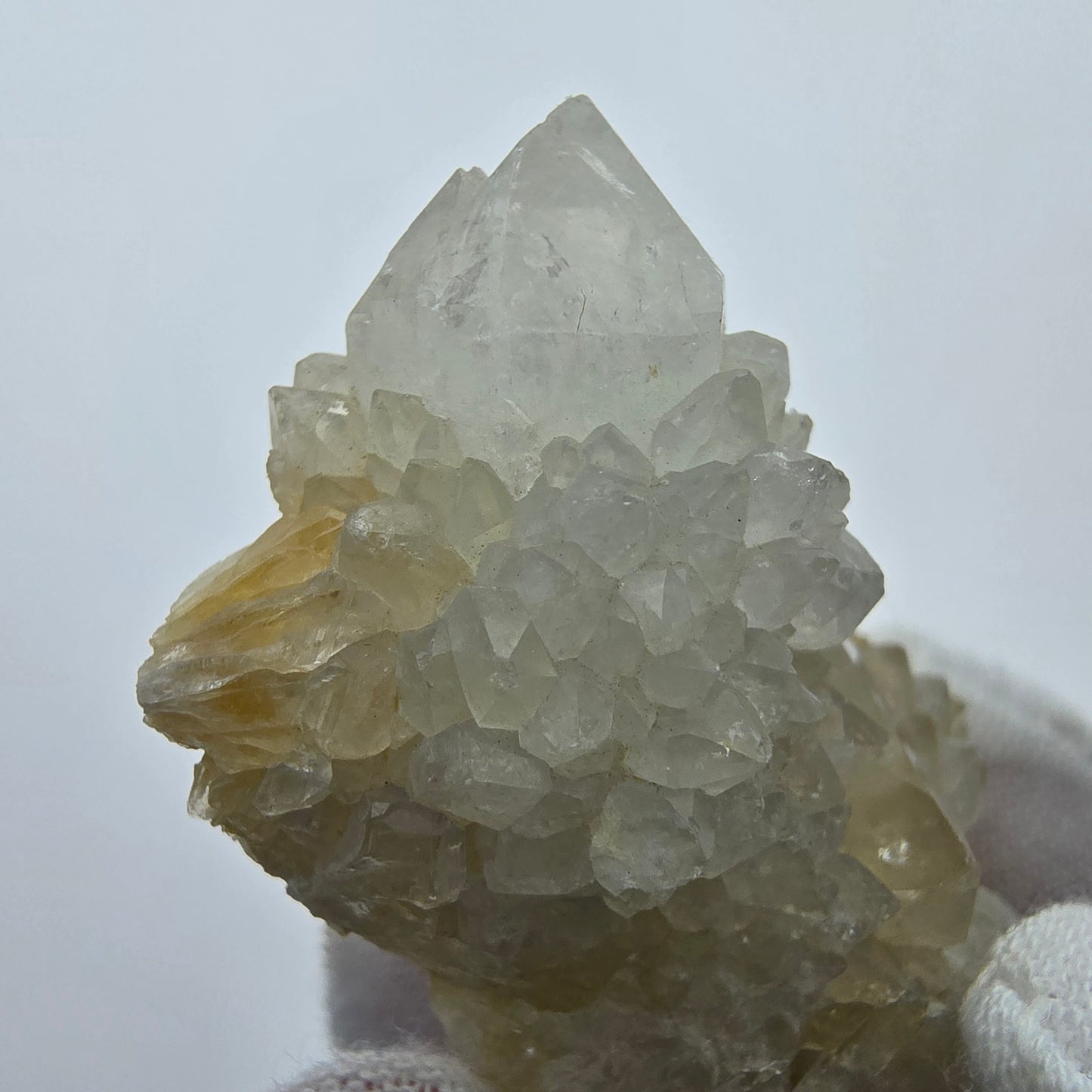 Kaktusquarz, Spirit Quarz XX Stufe Boekenhouthoek, Südafrika 48*26*20mm Sammlung