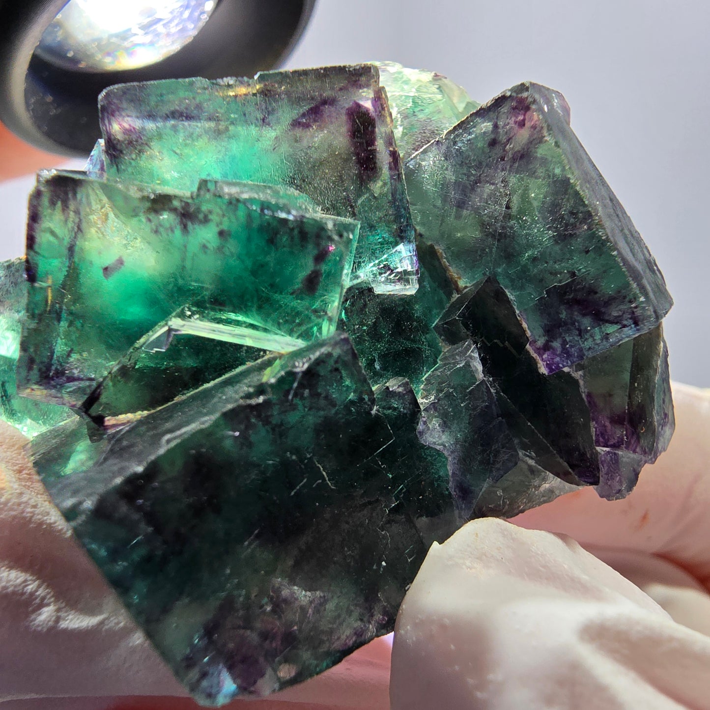 Spécimen de cube de fluorite fantôme parqueté vert violet Okorusu, Namibie 45*40*24 mm