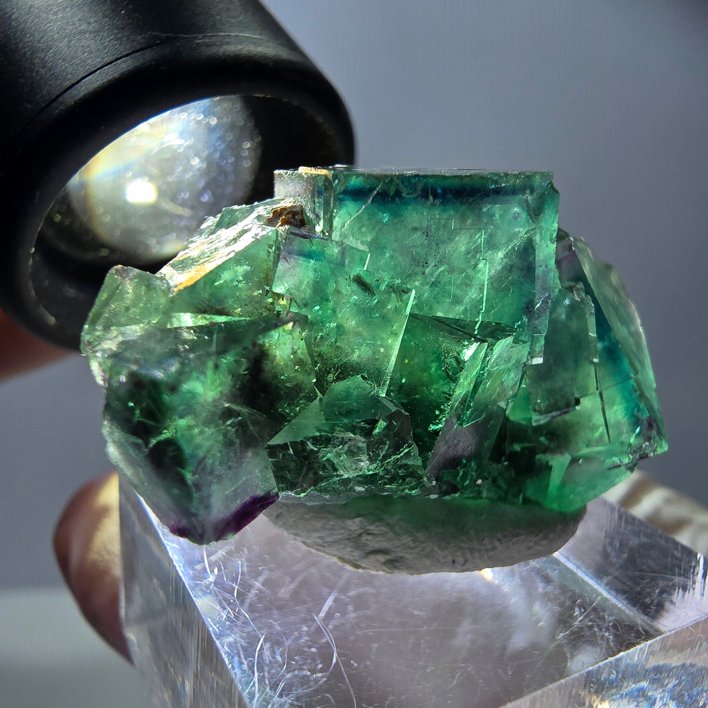 Rare spécimen de cube de fluorite, vert-violet, Okorusu, Namibie, 37 x 21 x 18 mm