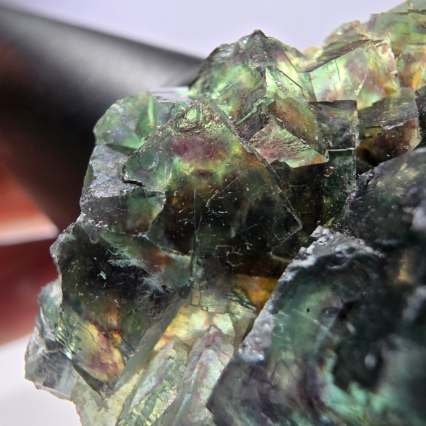 Rare spécimen de cube de fluorite fantôme, vert violet Okorusu Namibie 80*43*17 mm