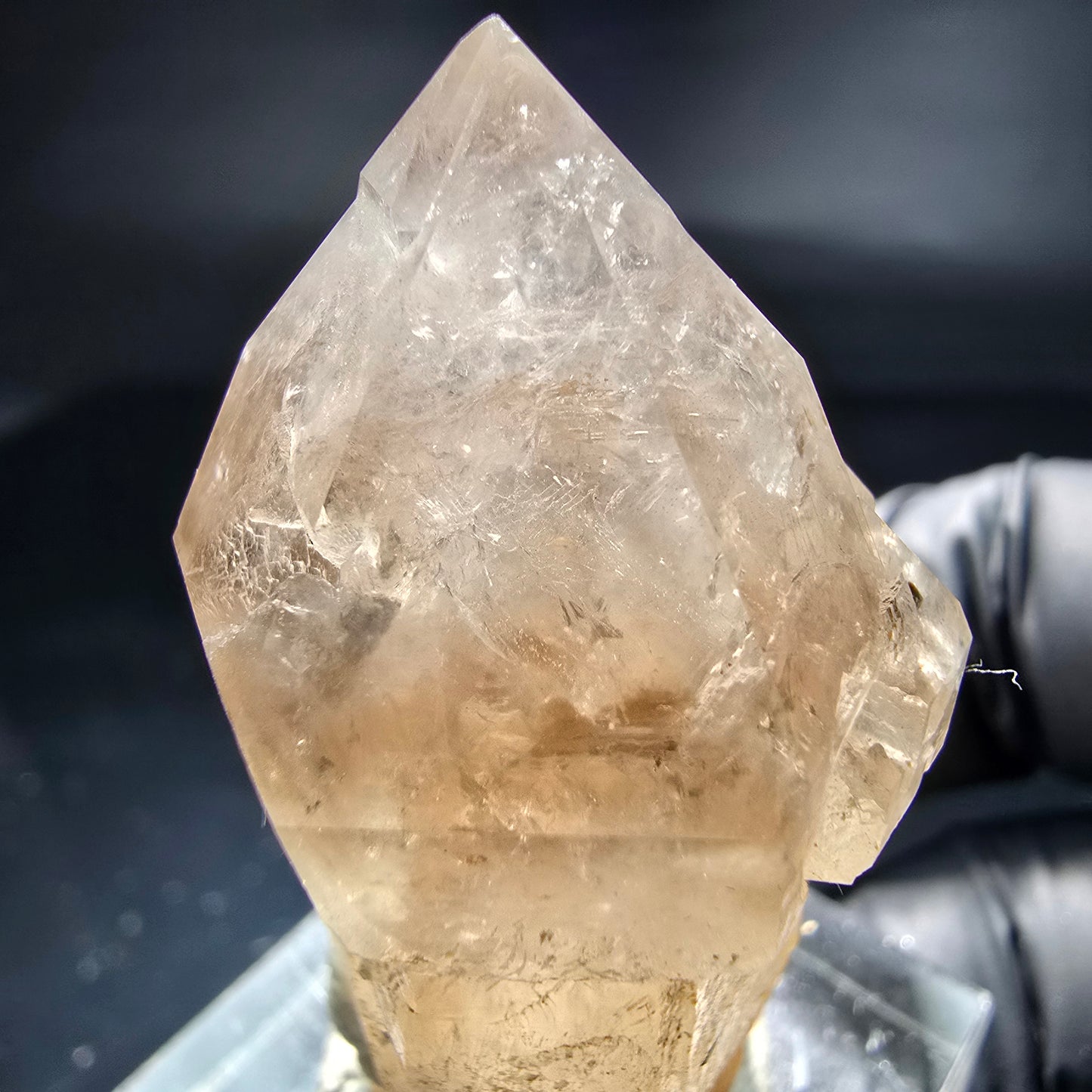 Schöne Phantom Rauchquarz Zepter Spitze Erongo, Namibia 43*23*20mm Sammlung