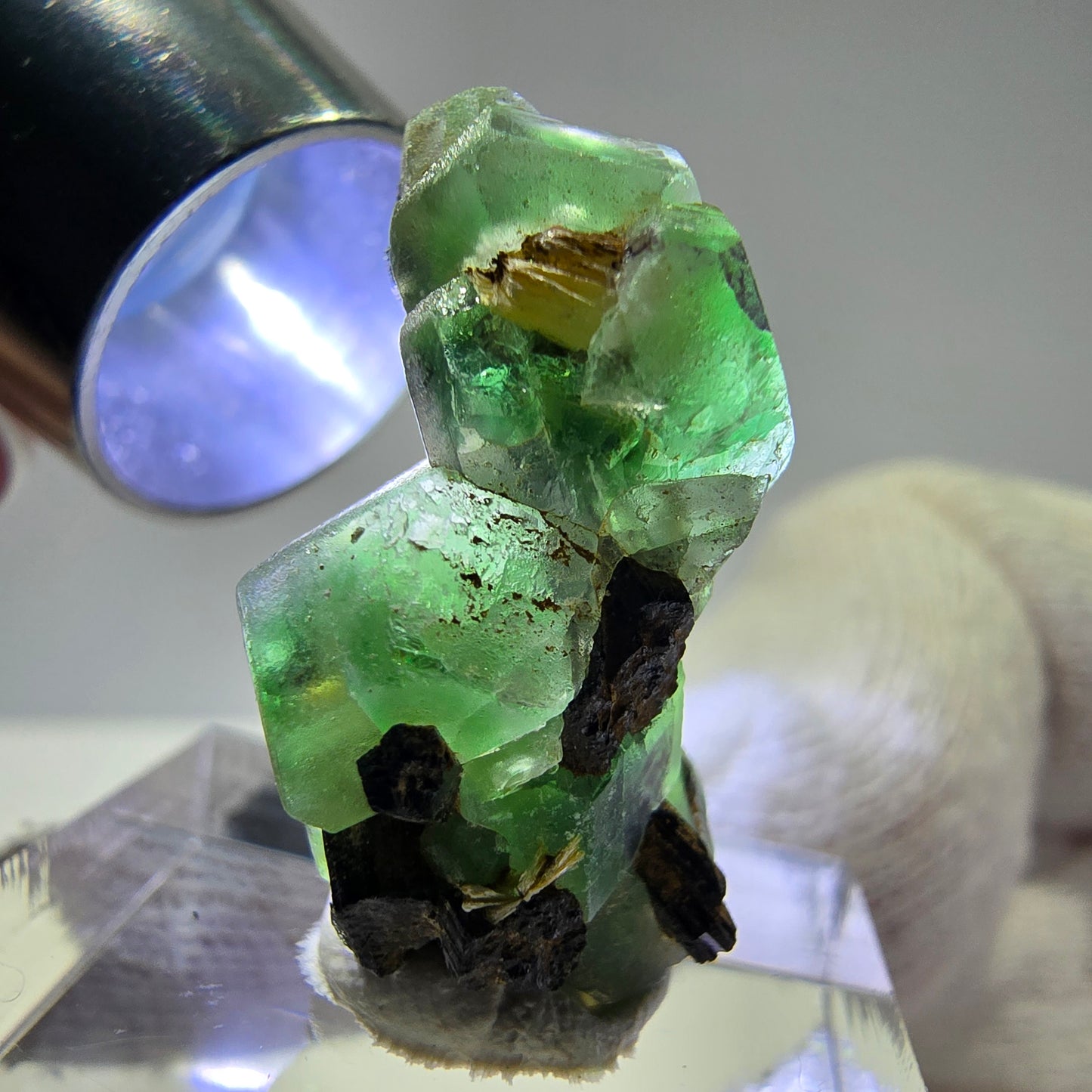 Spécimen de tourmaline Schorl hexagonale en cube de fluorite fantôme, Erongo, Namibie, 26 x 19 x 12 mm