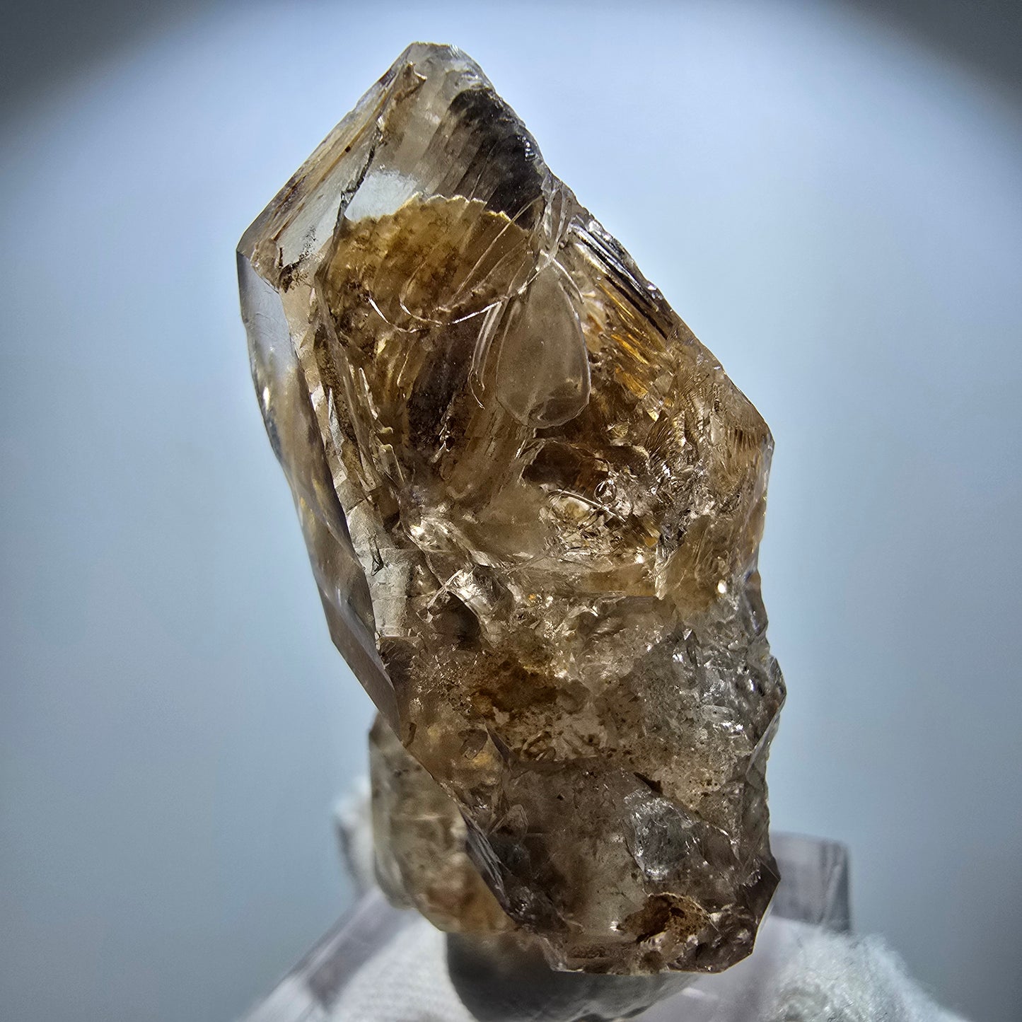 Phantom Rauchquarz Skelett Zepter Stufe Goboboseb, Namibia 49*27*24mm