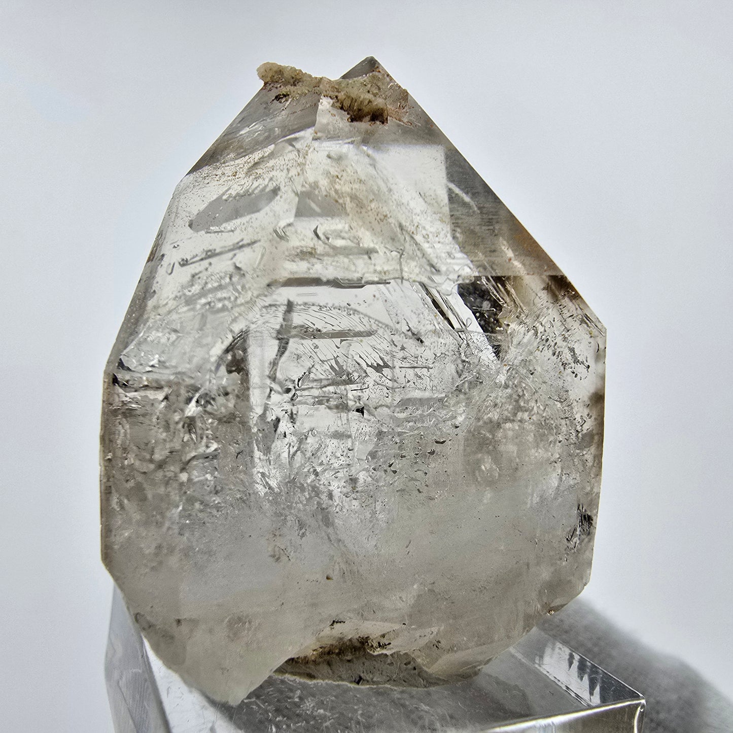 Enhydro Phantom Rauchquarz Zepter Kristall Goboboseb, Namibia 42*35*24mm