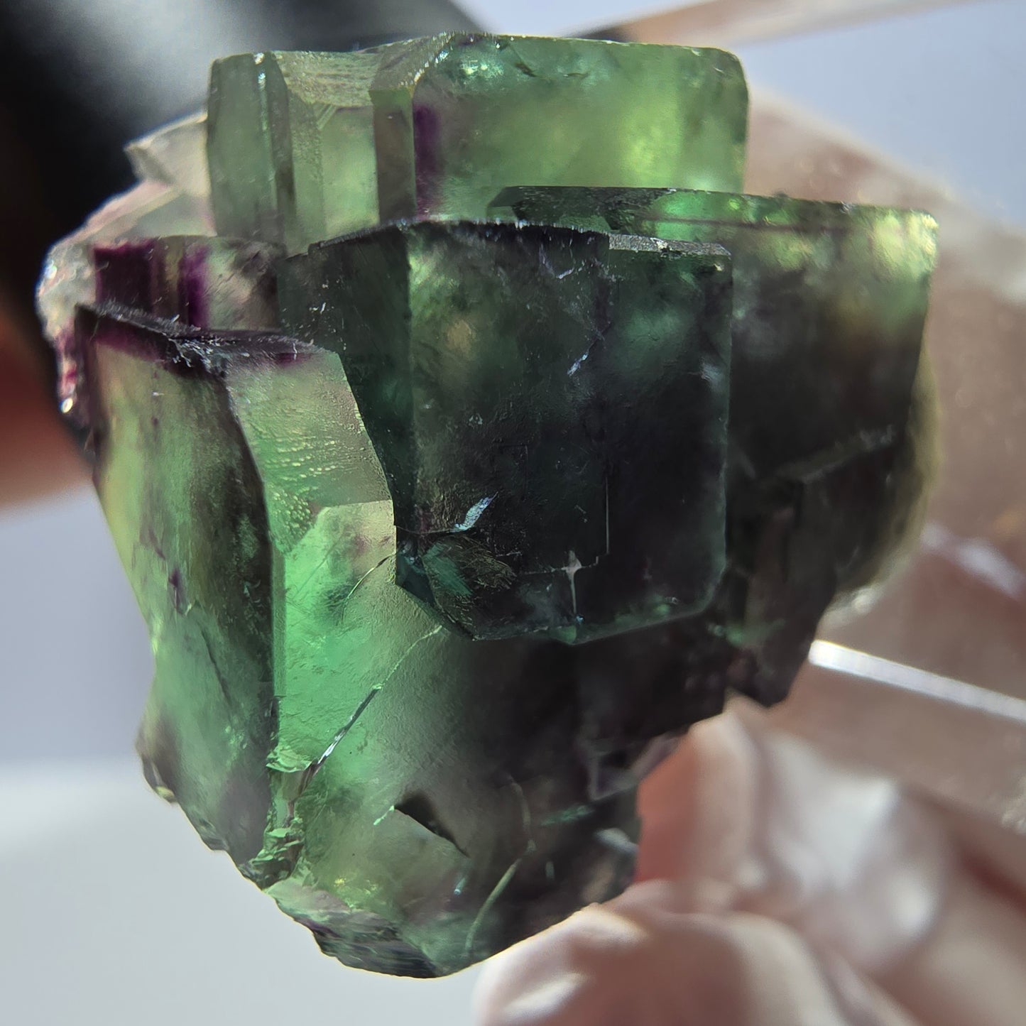 Spécimen de cube de fluorite fantôme, parqueté vert violet Okorusu, Namibie 26*25*16 mm