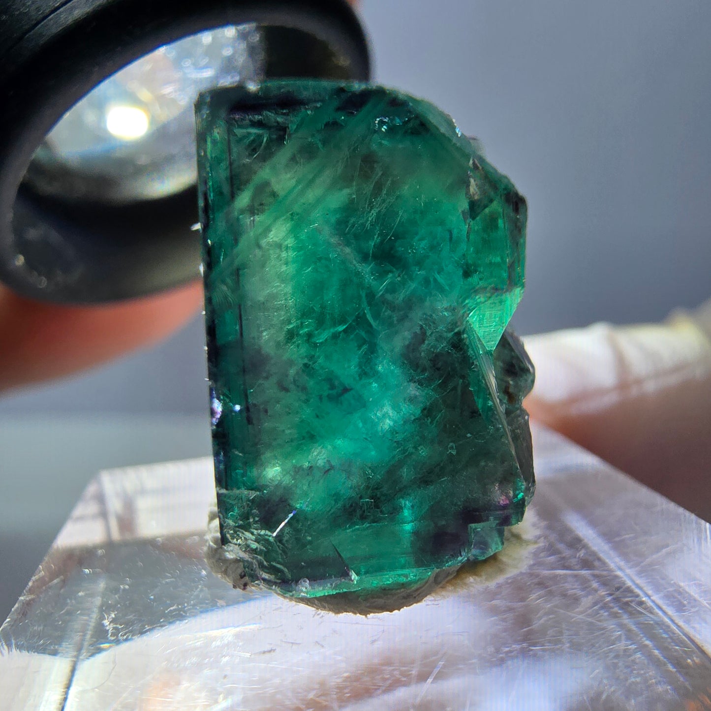 Phantom Fluorit Würfel Stufe, parkettiert grün lila Okorusu, Namibia 18*17*14mm