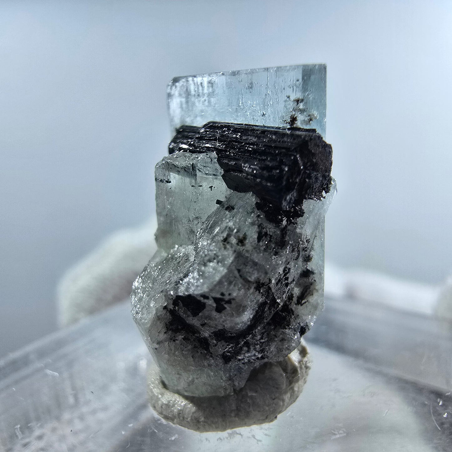 Aigue-marine Setlene, tourmaline Schörl stade Erongo, Namibie 16*10*12mm