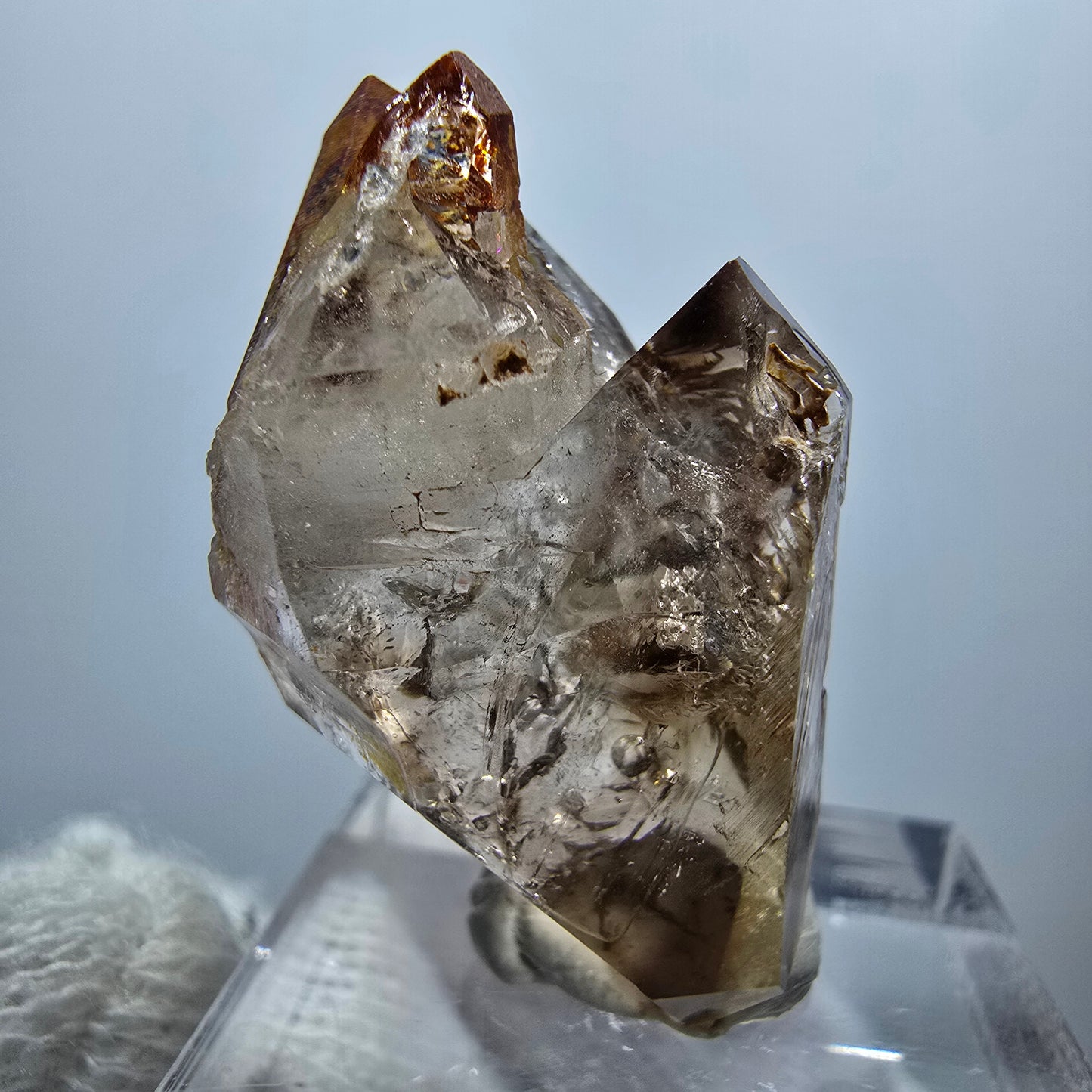 Sceptre Enhydro Phantom Smoky Quartz DT, 1x Bubble Goboboseb, Namibie 32*17*17mm