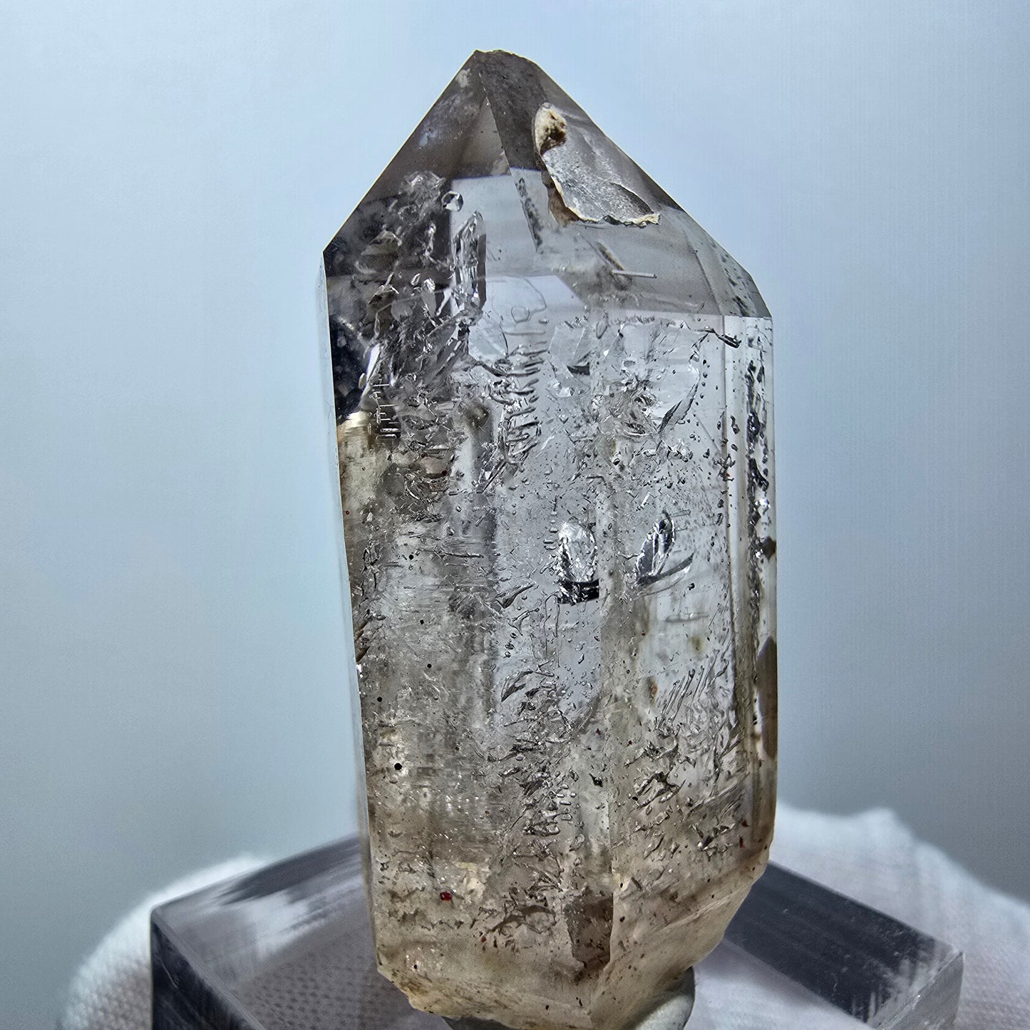 Enhydro Phantom Rauchquarz Zepter, 1x Blase Goboboseb, Namibia 44*21*19mm