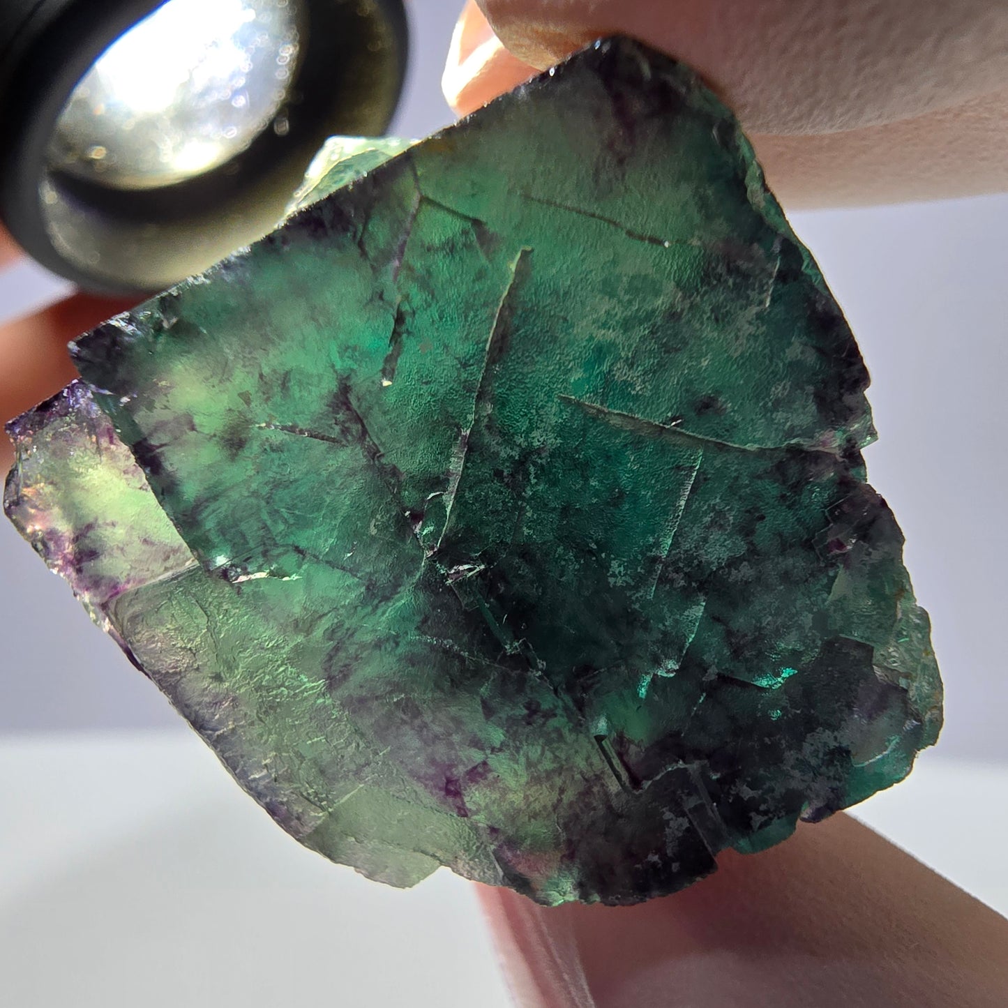 Spécimen de cube de fluorite fantôme parqueté vert violet Okorusu, Namibie 34*31*24mm