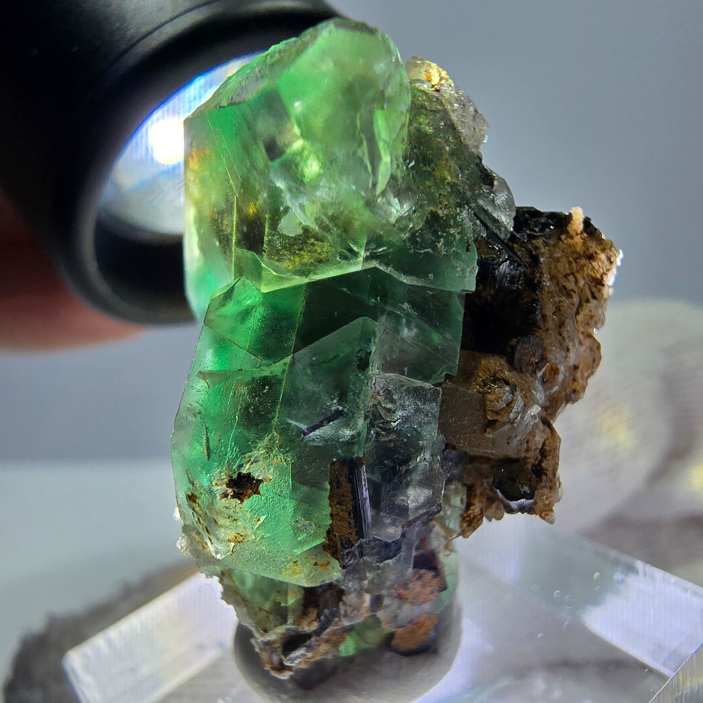Fluorite fantôme hexagonale, tourmaline Schörl, quartz fumé, hyalite, Erongo, Namibie, 33 x 22 x 23 mm