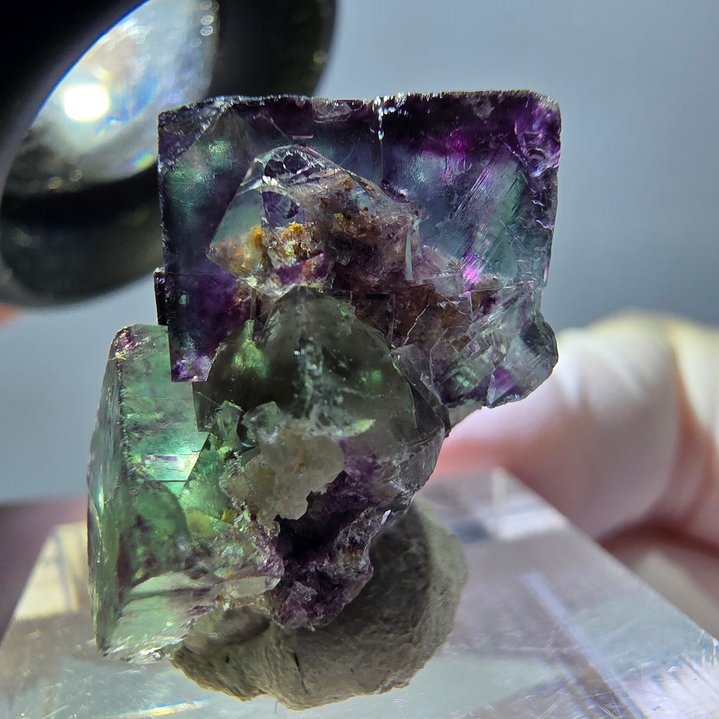 Spécimen de cube de fluorite fantôme, parqueté vert violet Okorusu, Namibie 25*19*15 mm