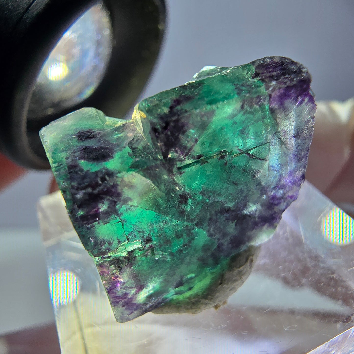 Phantom Fluorit Würfel parkettiert, grün lila Okorusu, Namibia 19*16*11mm
