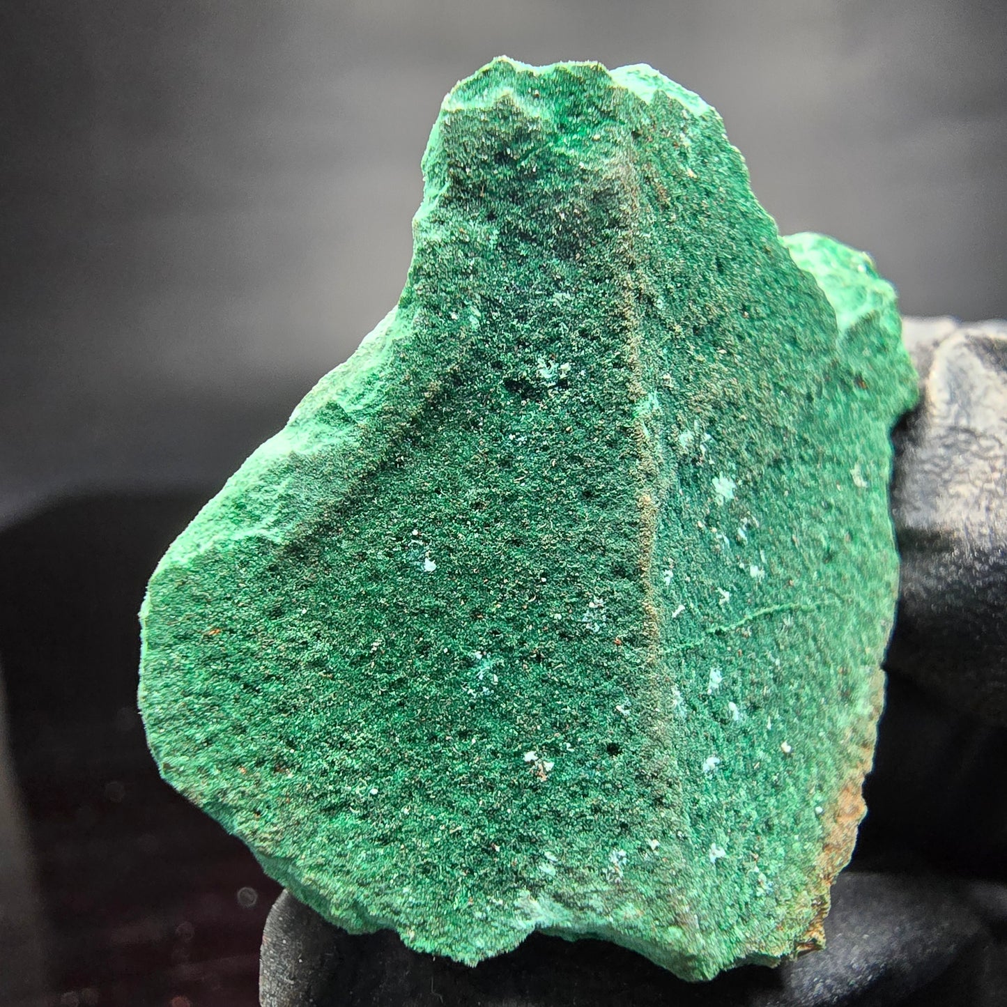 Seltene Malachit auf Matrix Stufe grün Kaokoveld, Namibia 40*32*22mm Sammlung