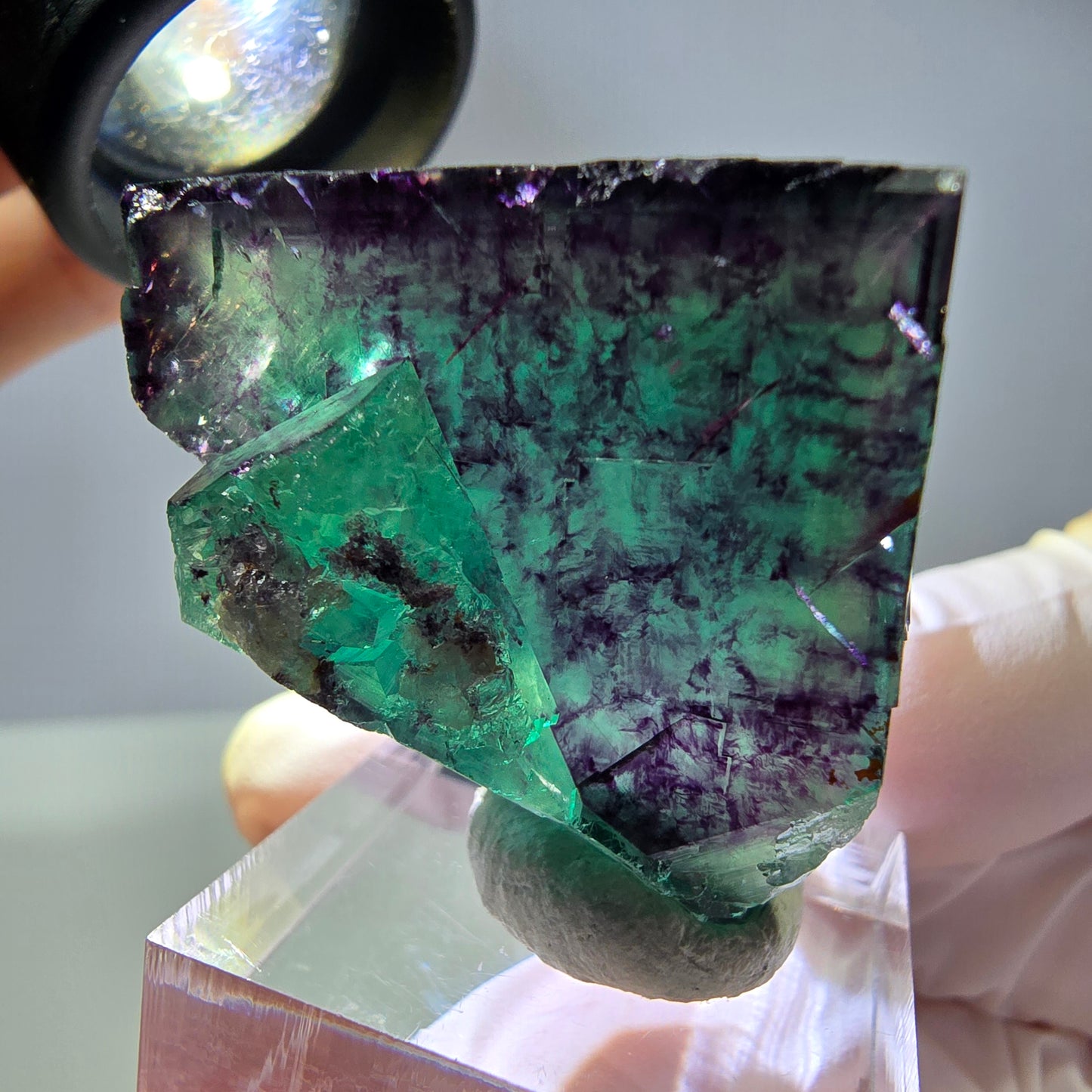 Rare cube de fluorite fantôme parqueté vert violet Okorusu Namibie 32*31*22mm