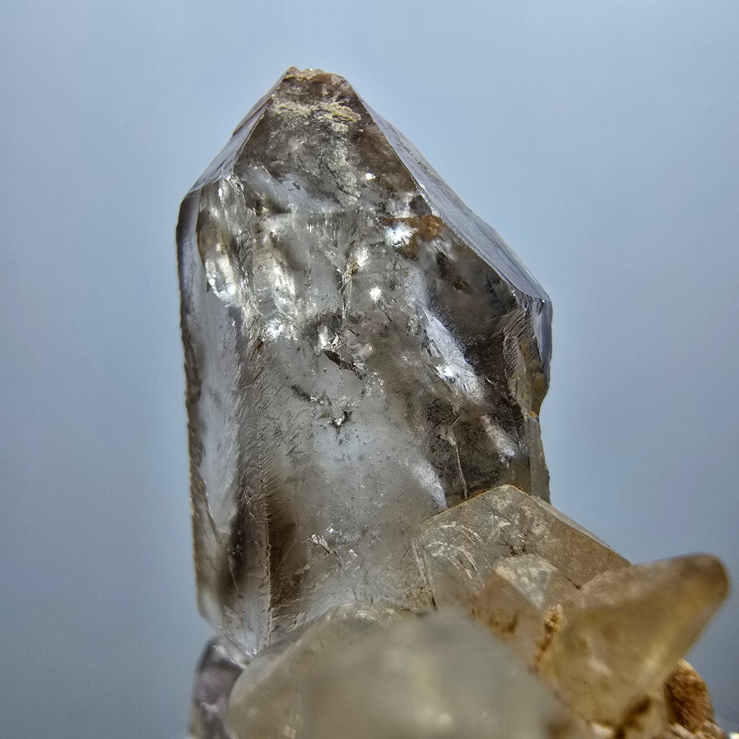 Amas de quartz fumé Harlequin Enhydro, 1x Bubble Goboboseb, Namibie 37 x 34 x 18 mm