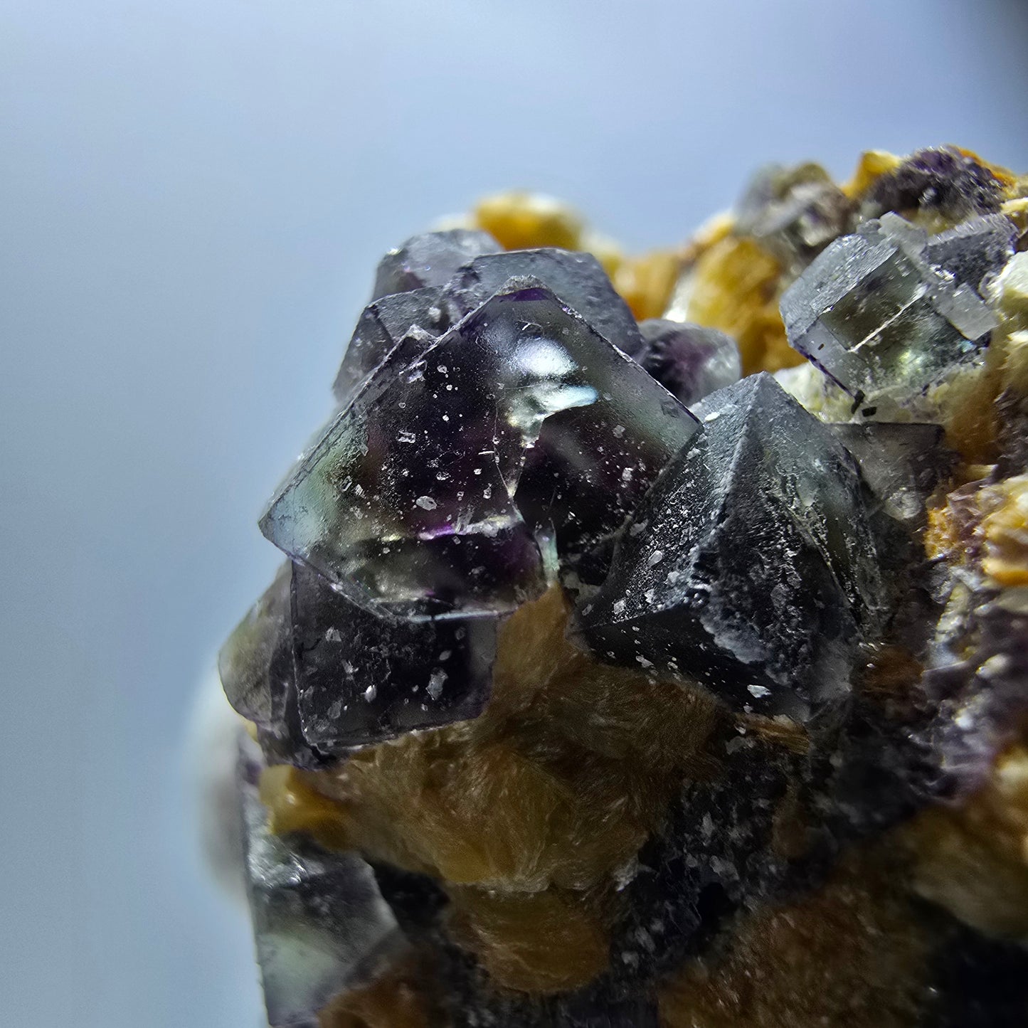 Spécimen de fluorite fantôme colorée, de tourmaline Schorl et de muscovite, Erongo, Namibie, 58 x 51 x 33 mm