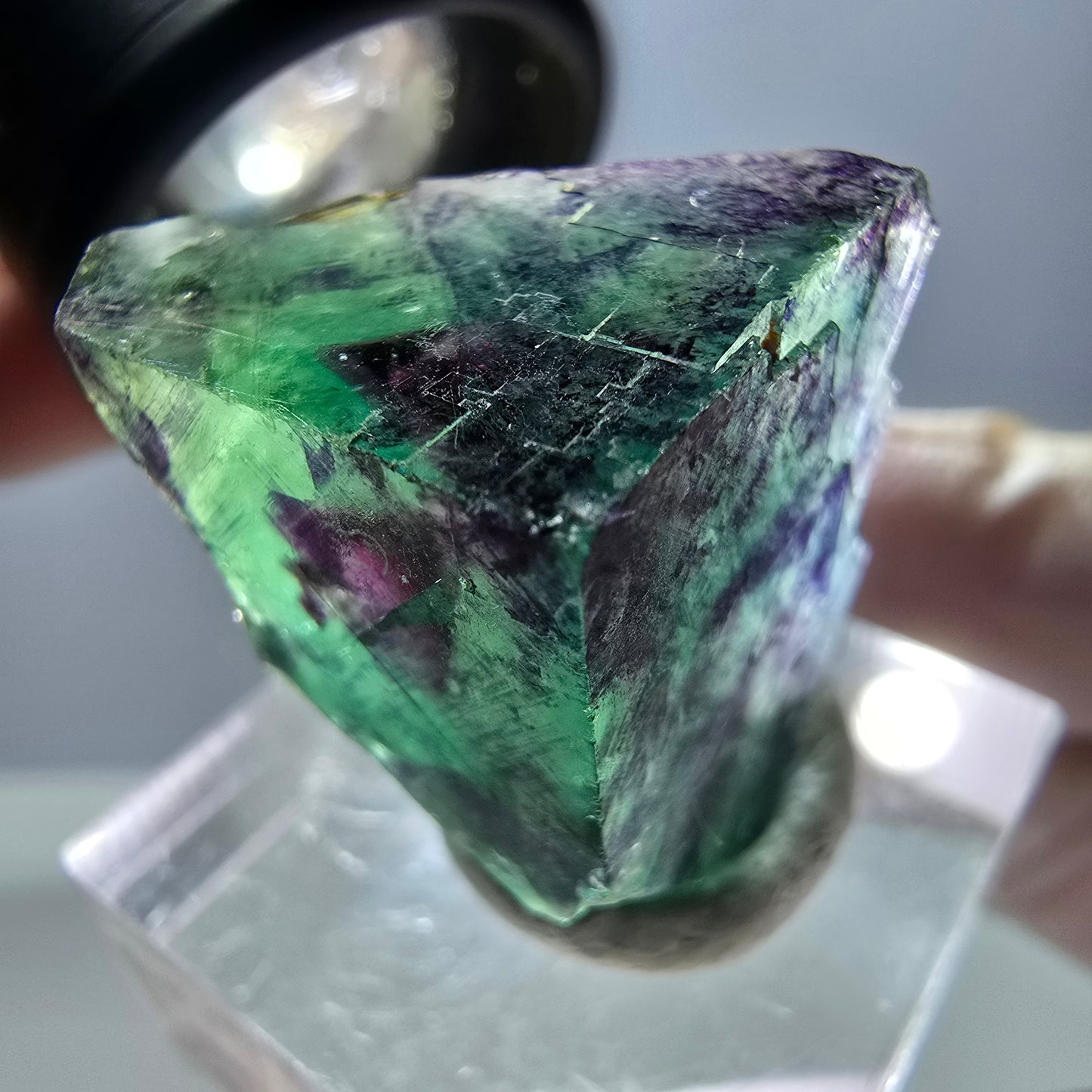 Phantom Fluorit Würfel Stufe, parkettiert grün lila Okorusu, Namibia 22*21*20mm