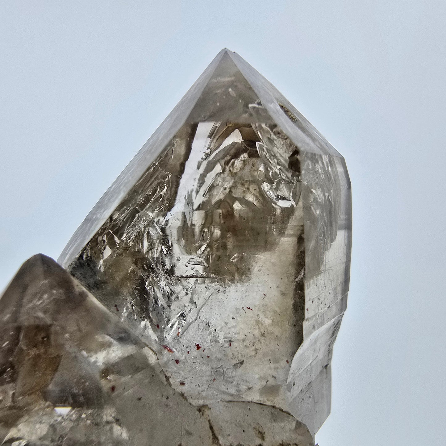 Enhydro Phantom Rauchquarz Fenster Zepter, 1x Blase Goboboseb Namibia 44*29*21mm