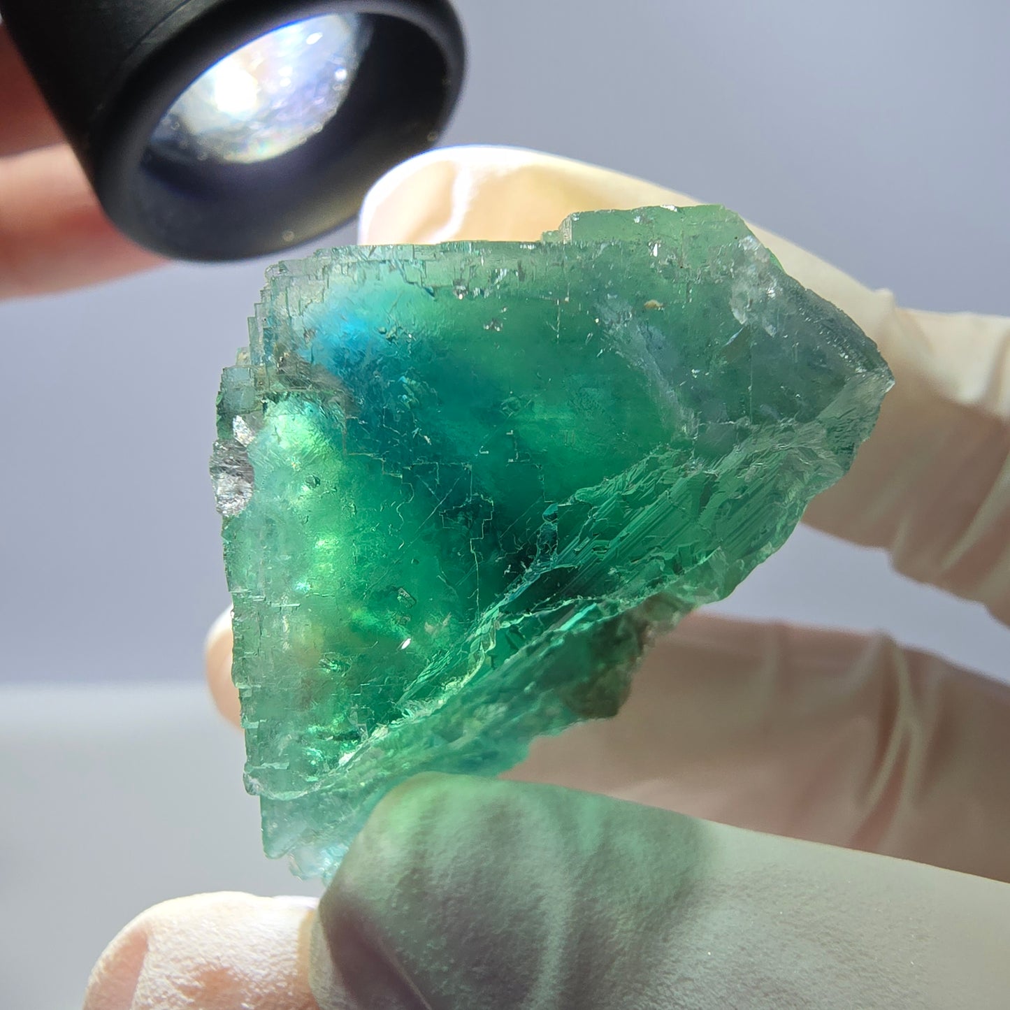 Spécimen de cube de fluorite fantôme transparente, vert parqueté, Okorusu, Namibie, 44 x 37 x 27 mm