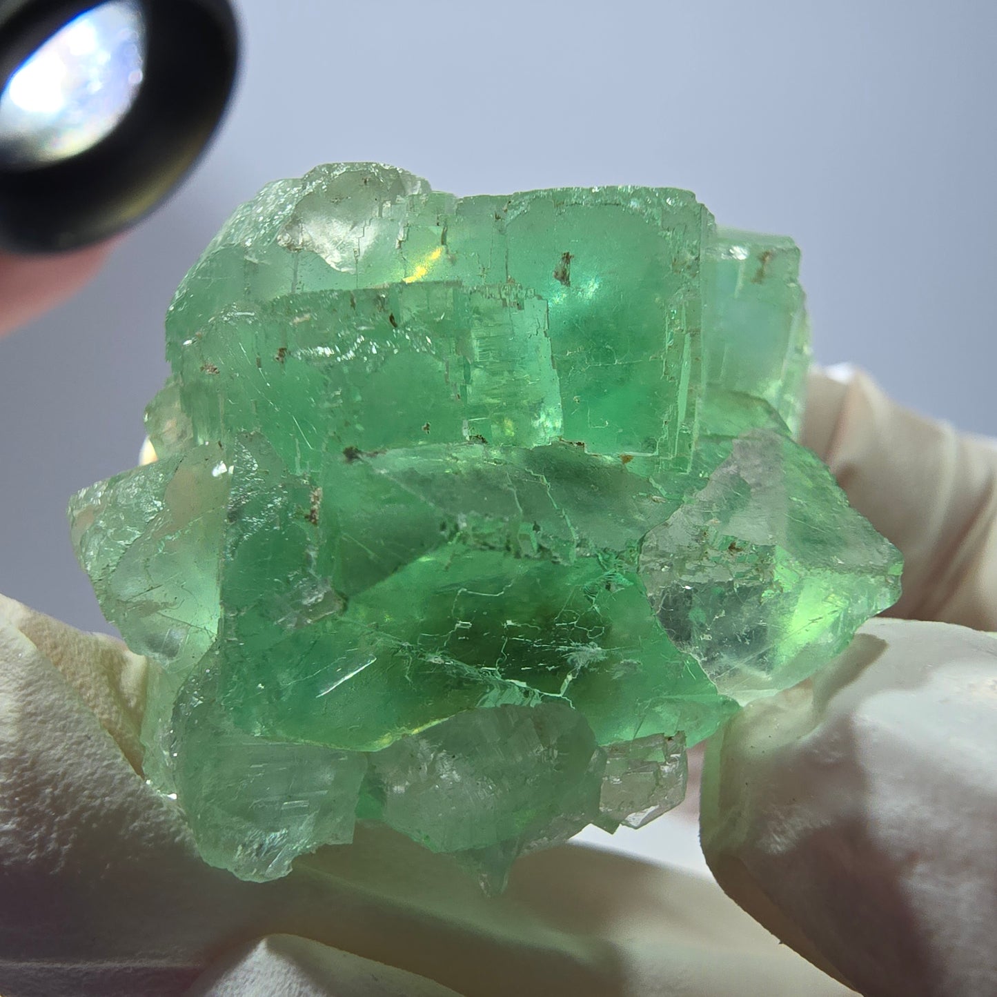 Spécimen de cube de fluorite fantôme transparente, vert parqueté, Okorusu, Namibie, 46 x 35 x 21 mm