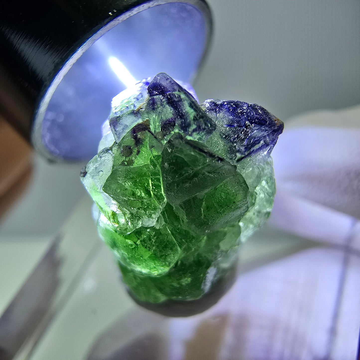 Cube de fluorite fantôme, zonal, spécimen de tourmaline Schorl, Erongo, Namibie, 18 x 12 x 12 mm