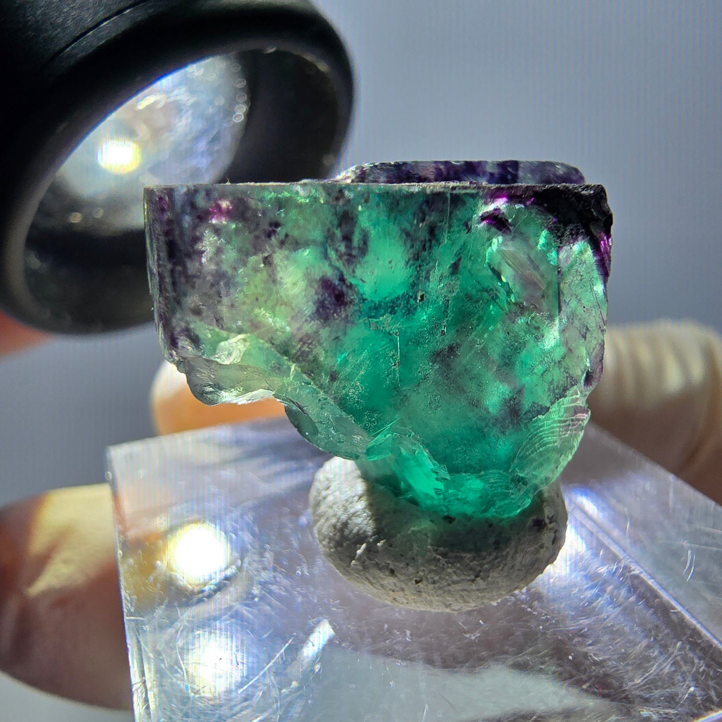 Spécimen de cube de fluorite fantôme, parqueté vert violet Okorusu, Namibie 25*18*14 mm