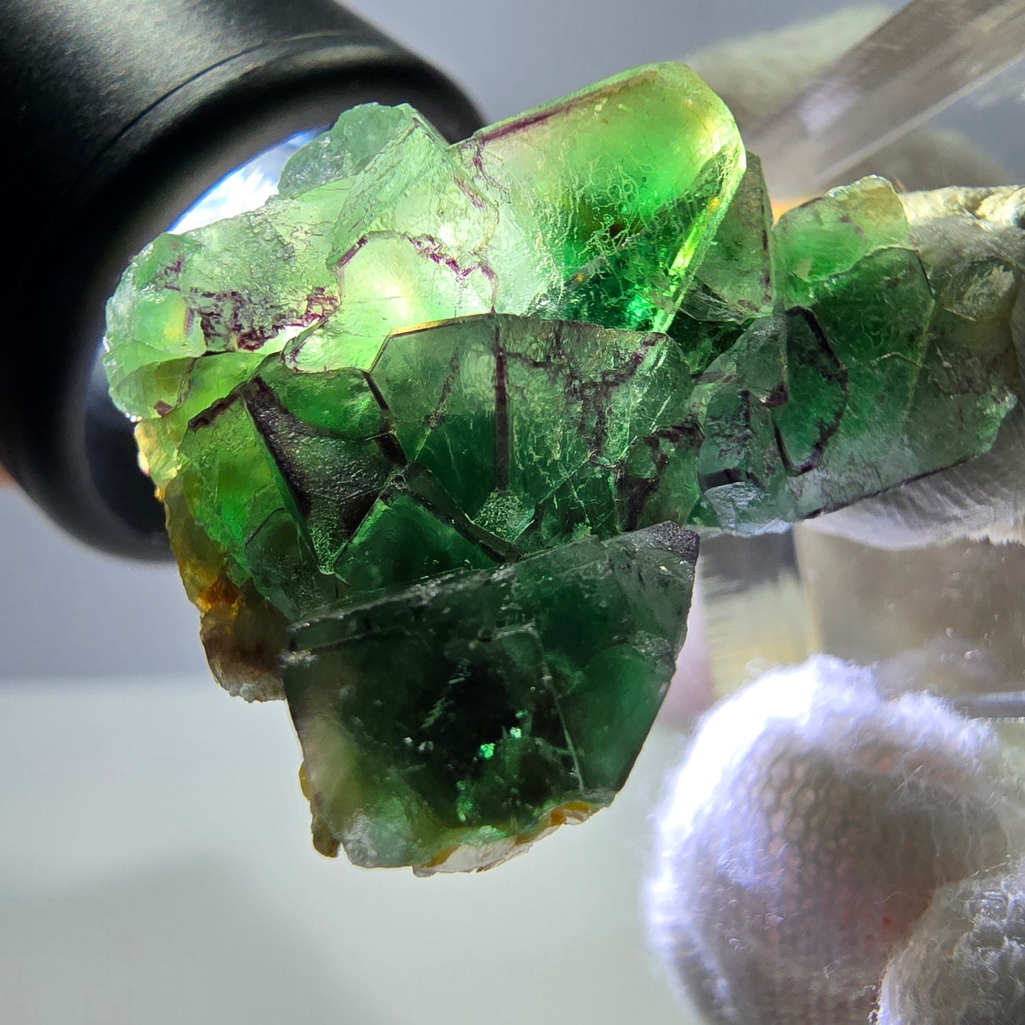 Cube de fluorite fantôme zonal, tourmaline muscovite Schörl Erongo Namibie 31 x 22 x 20 mm