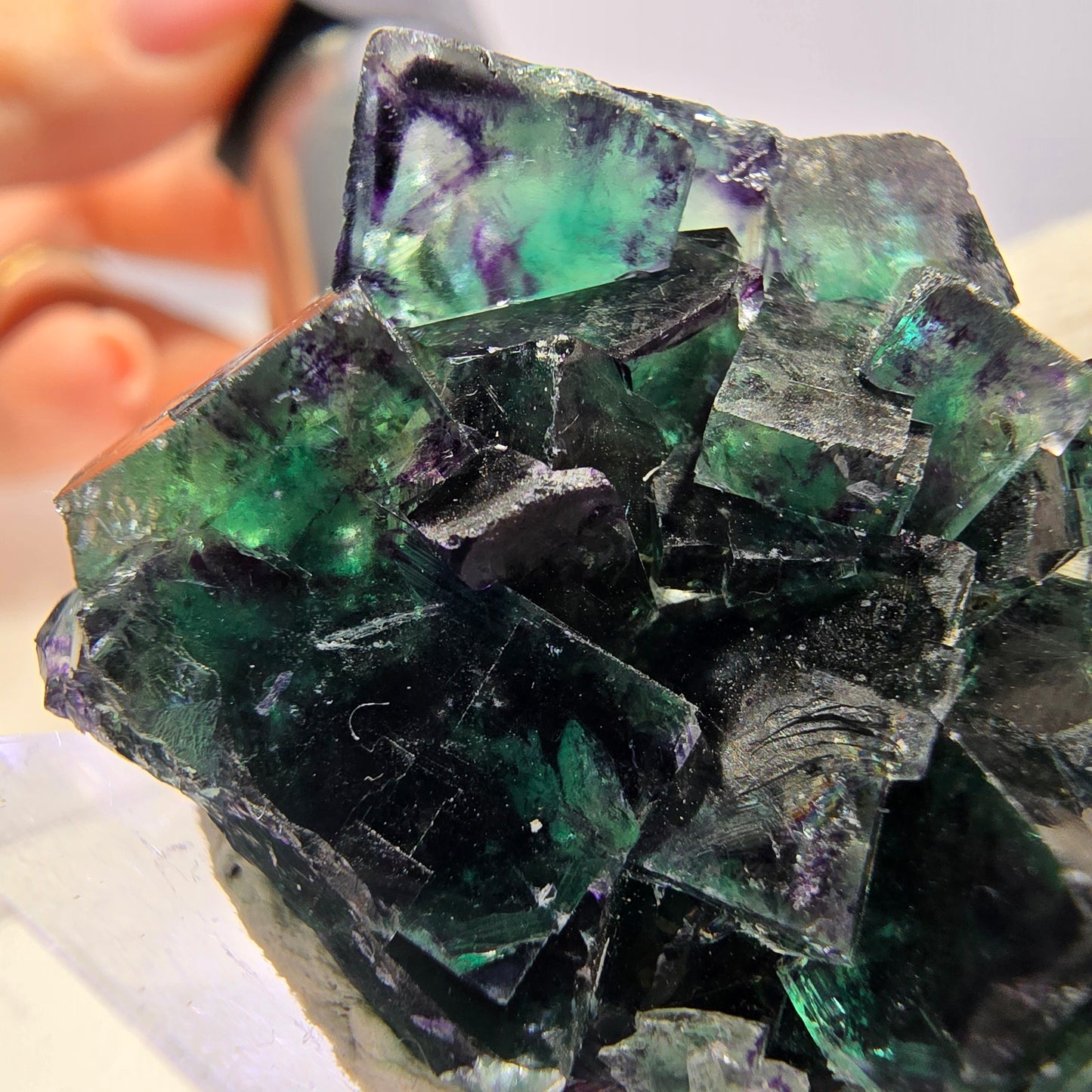Spécimen de cube de fluorite fantôme transparente, vert-violet zonal, Okorusu, Namibie, 40 x 31 x 28 mm