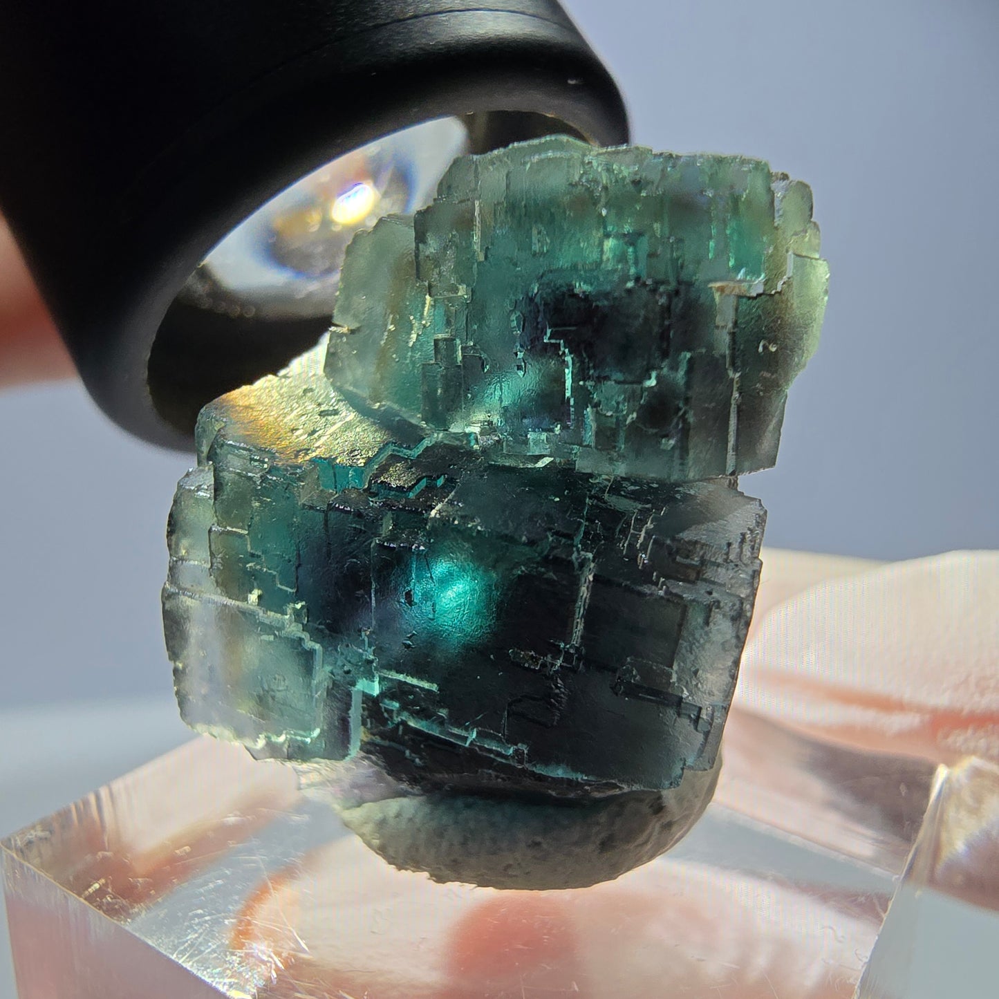 Spécimen de cube de fluorite fantôme, parqueté vert violet Okorusu, Namibie 25*18*18 mm