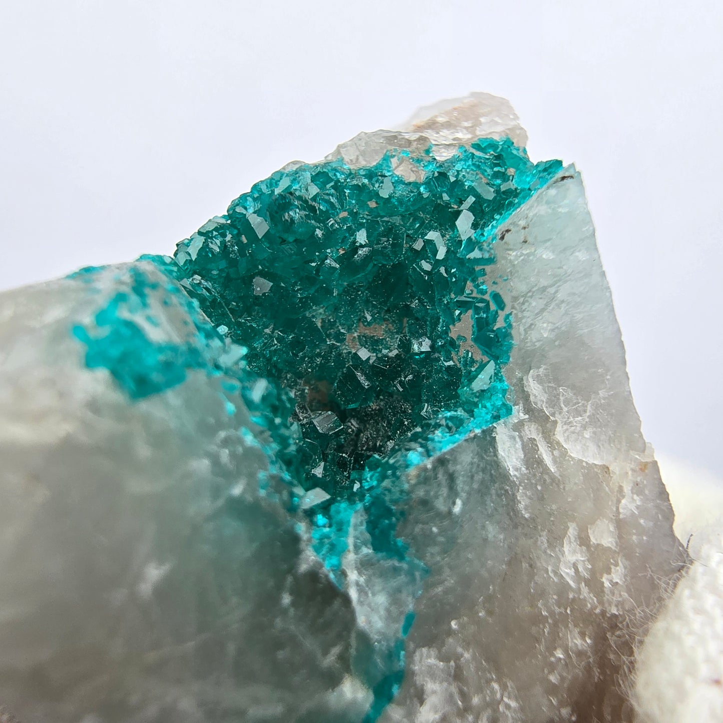 Rare spécimen de dioptase sur quartz Kaokoveld, Namibie 32*23*22mm Collection de minéraux