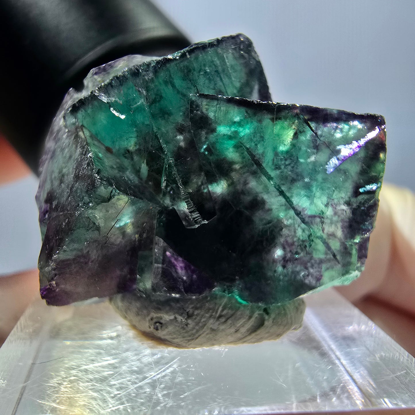 Spécimen de cube de fluorite fantôme, parqueté vert violet Okorusu, Namibie 27 x 24 x 15 mm
