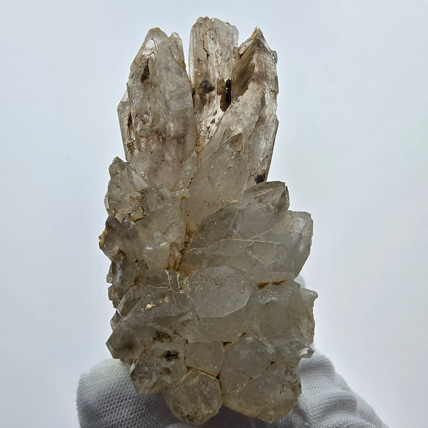 Enhydro Phantom Rauchquarz Zepter Stufe, 2x Blase Goboboseb, Namibia 78*41*53mm