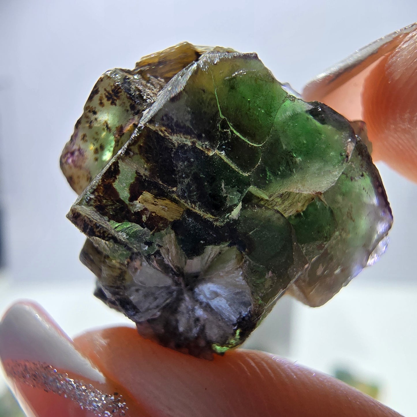 Lot de 16 tourmalines Schörl, fluorite fantôme, hyalite, stade muscovite, Erongo, Namibie