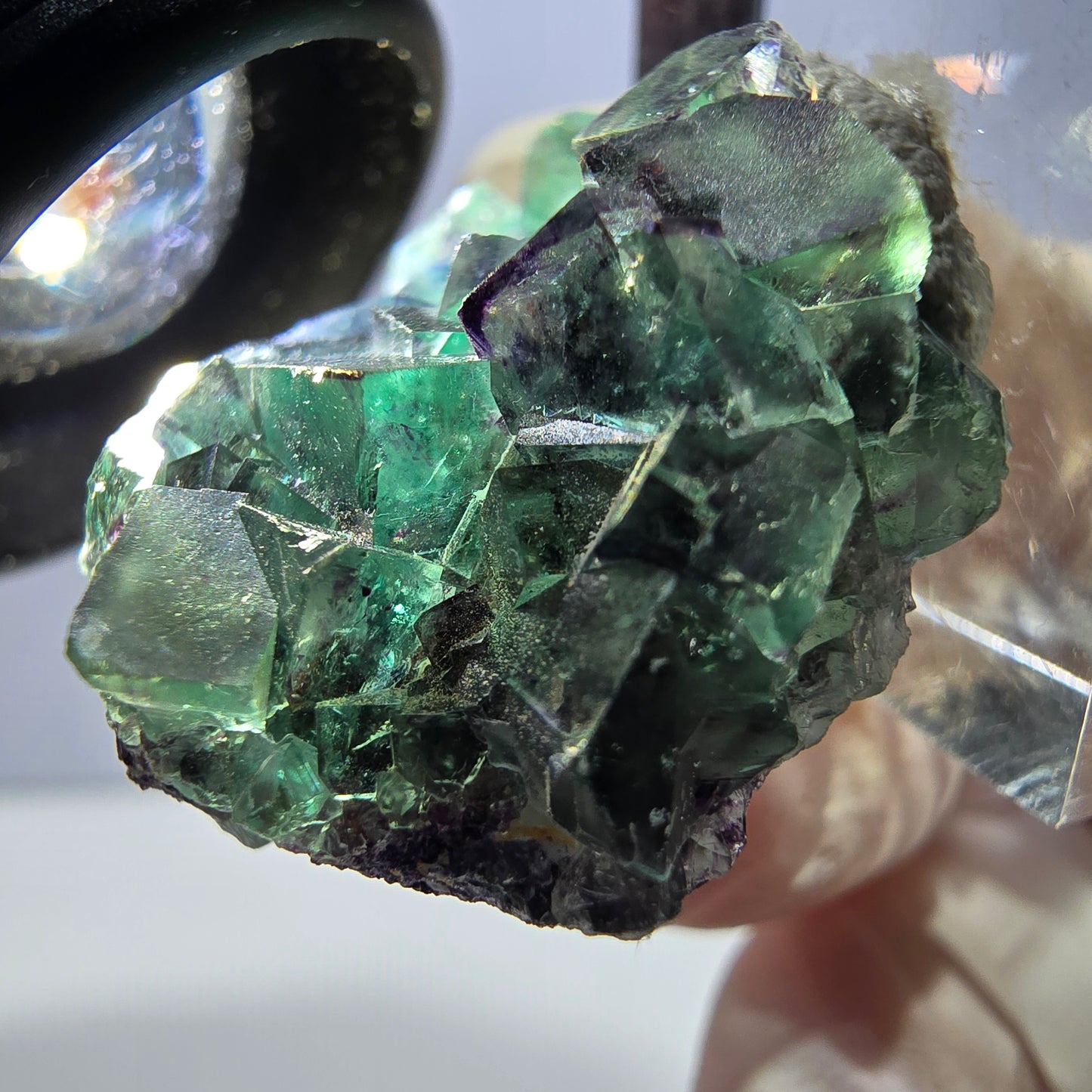 Spécimen de cube de fluorite fantôme, parqueté vert violet Okorusu, Namibie 35*27*13 mm