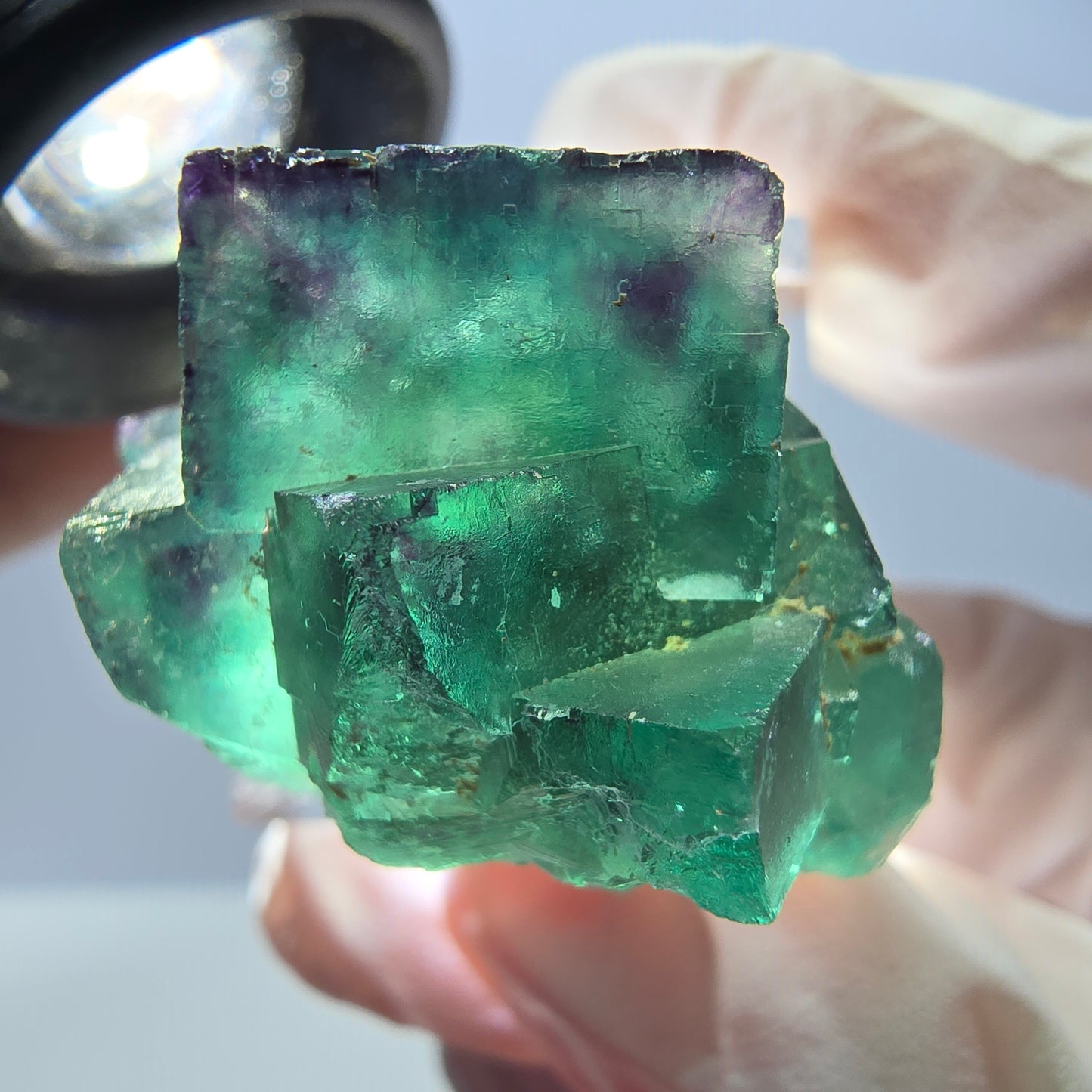 Rare spécimen de cube de fluorite, vert-violet, Okorusu, Namibie, 33 x 26 x 22 mm