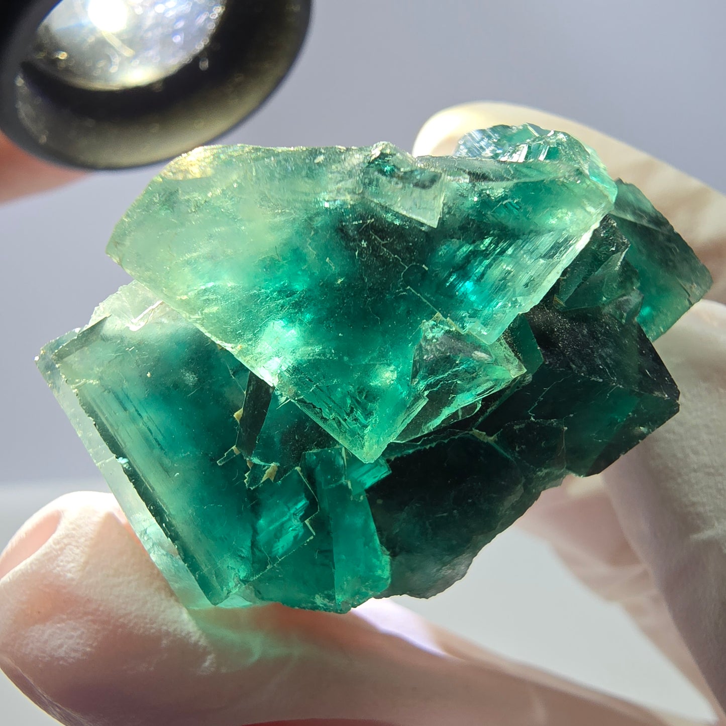 Rare spécimen de cube de fluorite fantôme, vert-violet, Okorusu, Namibie, 47 x 29 x 23 mm