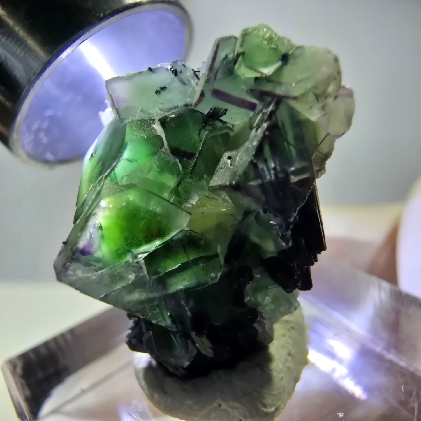 Cube de fluorite fantôme, zonal, muscovite, spécimen de tourmaline Schorl, Erongo, Namibie, 22 x 20 x 15 mm