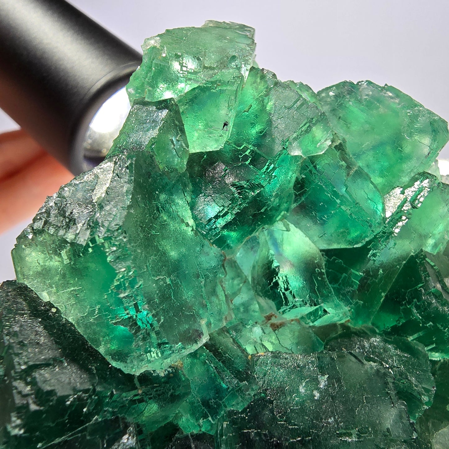 Grand cube de fluorite fantôme étagé vert violet Okorusu Namibie 100 x 75 x 29 mm