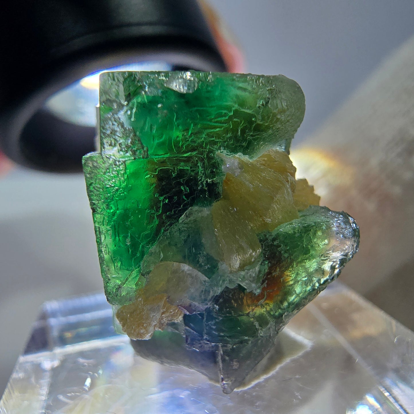 Cube de fluorite fantôme, spécimen de muscovite, Erongo, Namibie, 20 x 16 x 15 mm